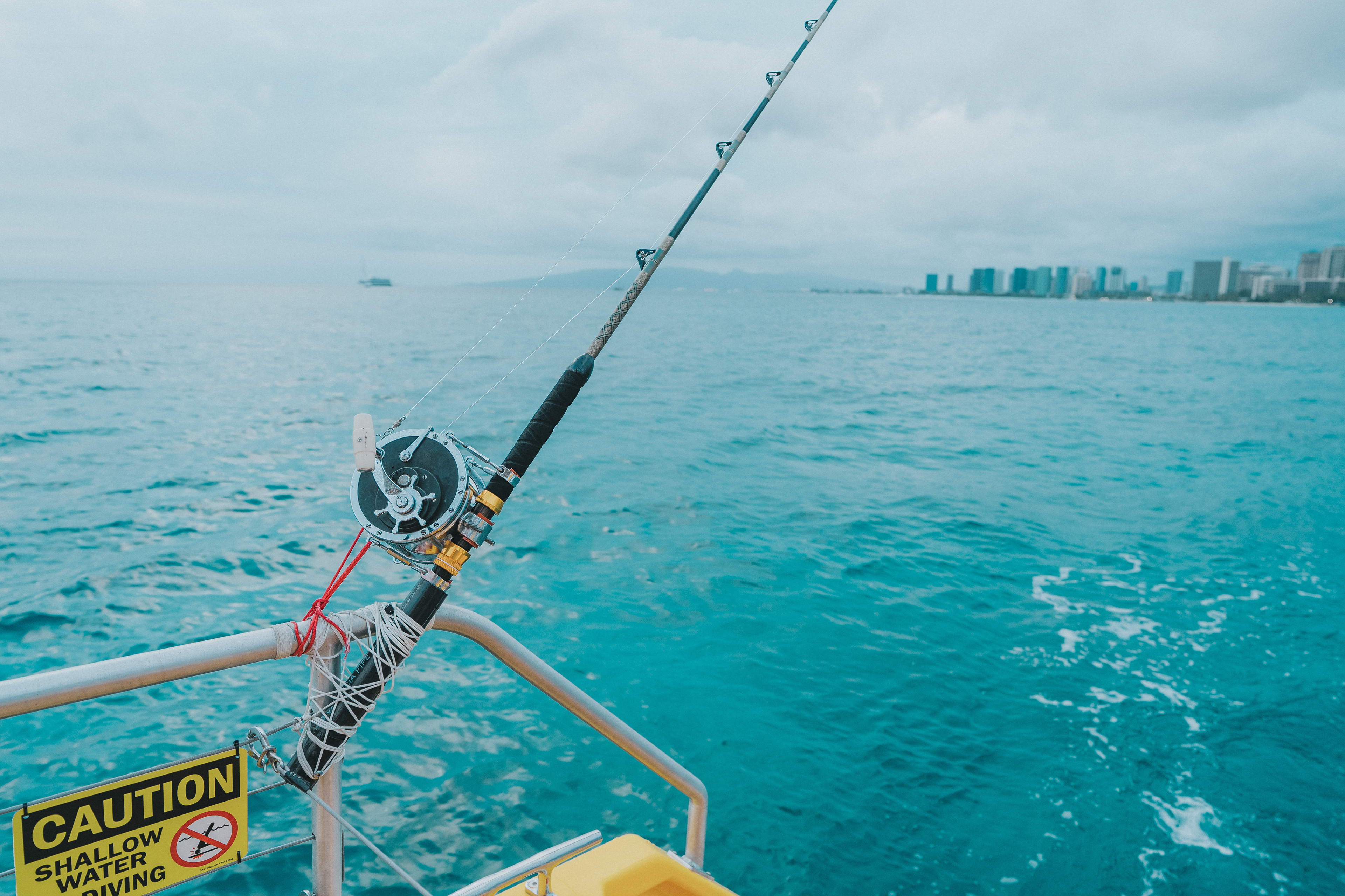 hawaii, beach, plam tree, tree, nature, cruise
