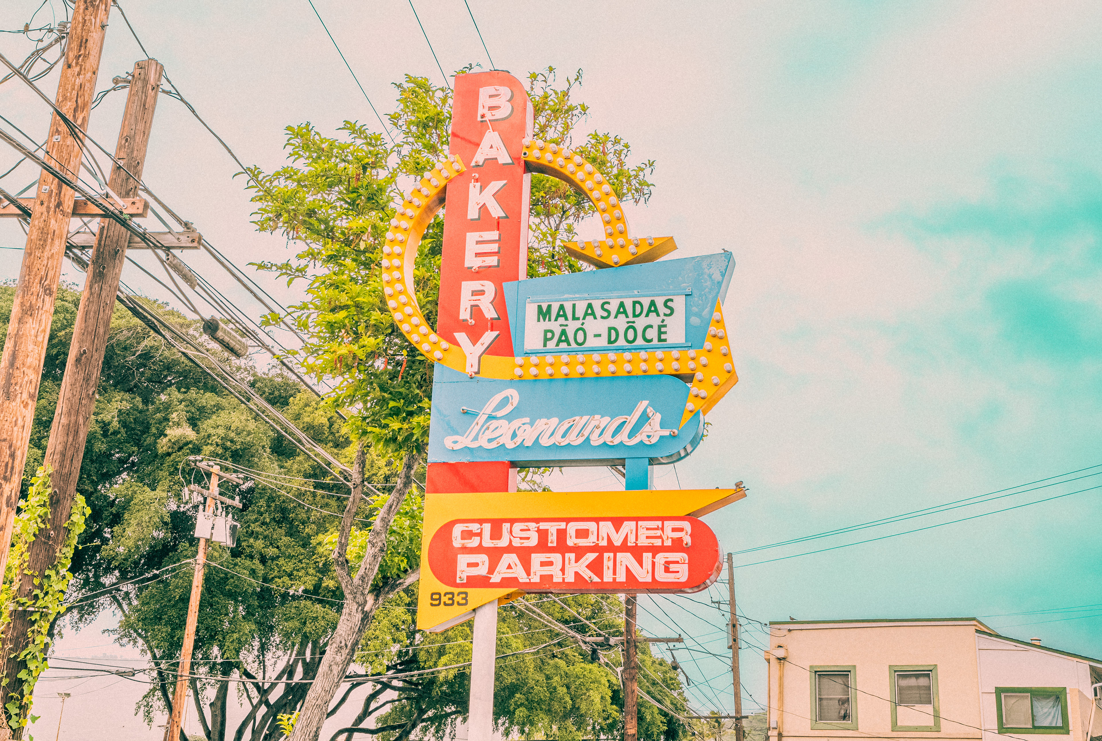 hawaii, beach, plam tree, tree, nature,