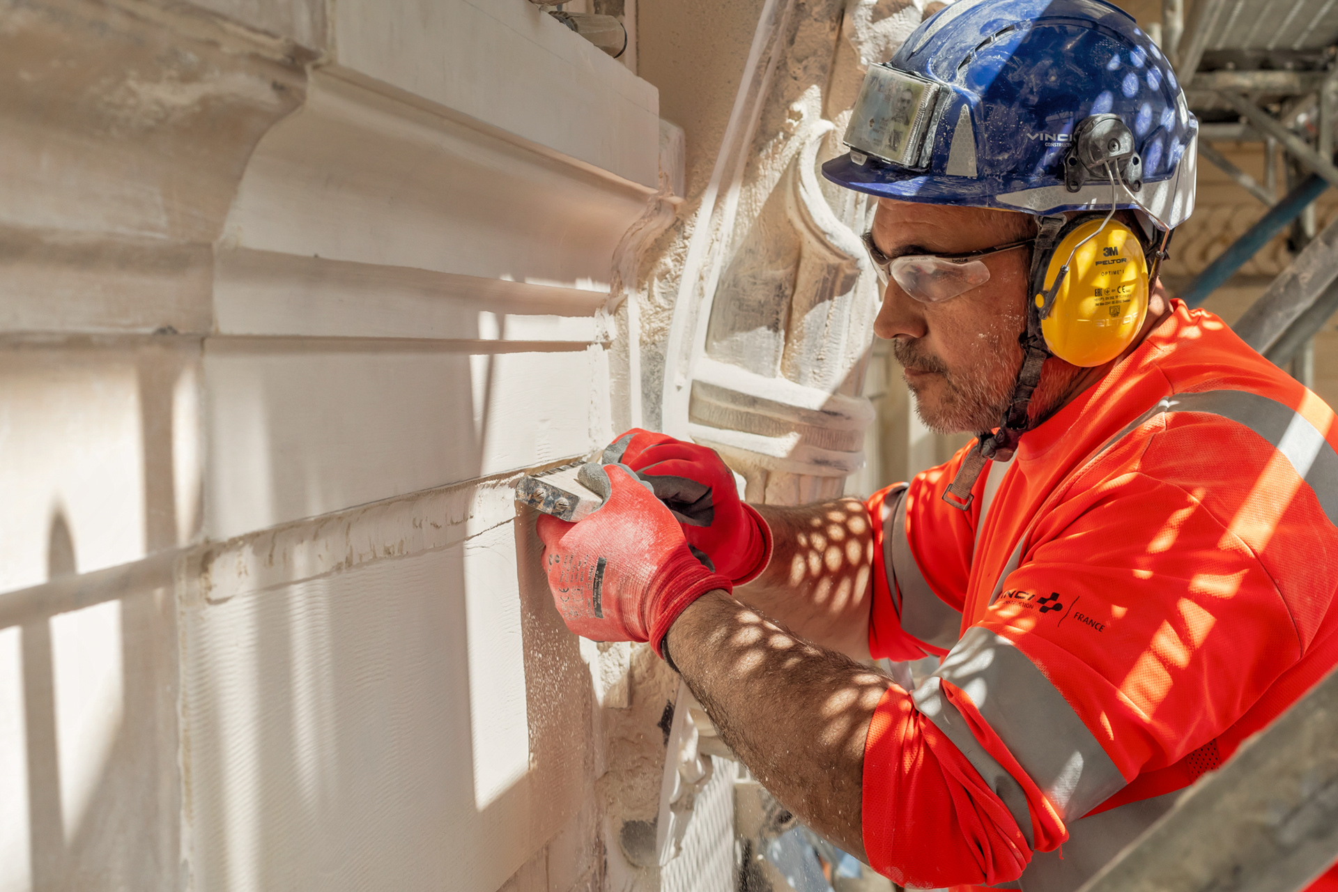 Museum d'Histoire Naturelle - DEGAINE