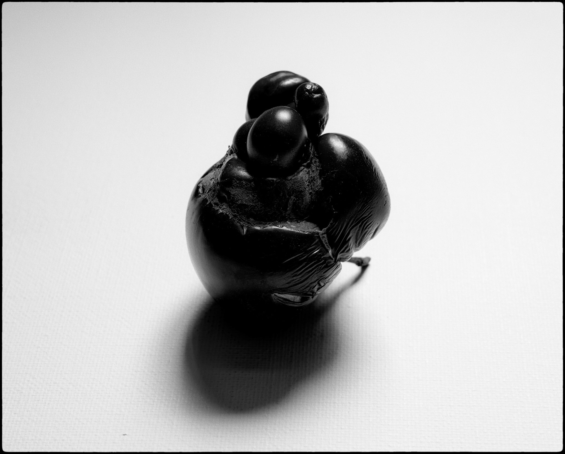 Tomate noire [II]
