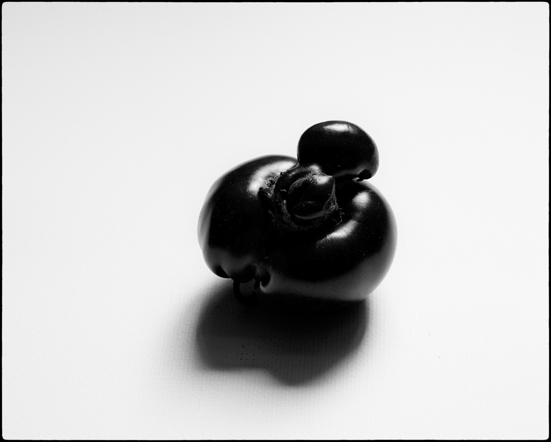 Tomate noire [I]