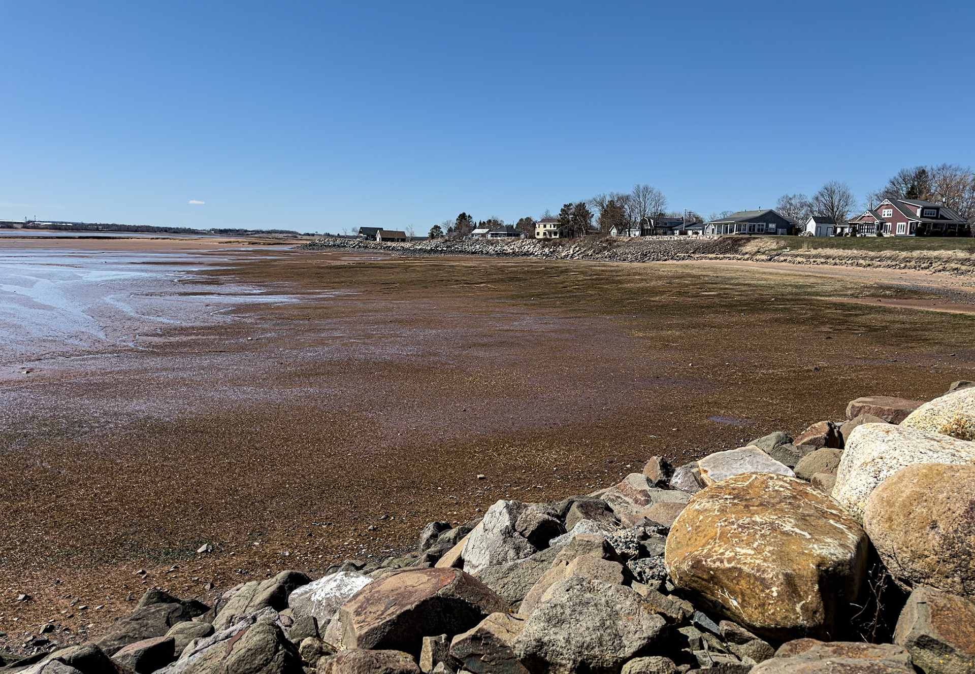 Kingsport Beach 10