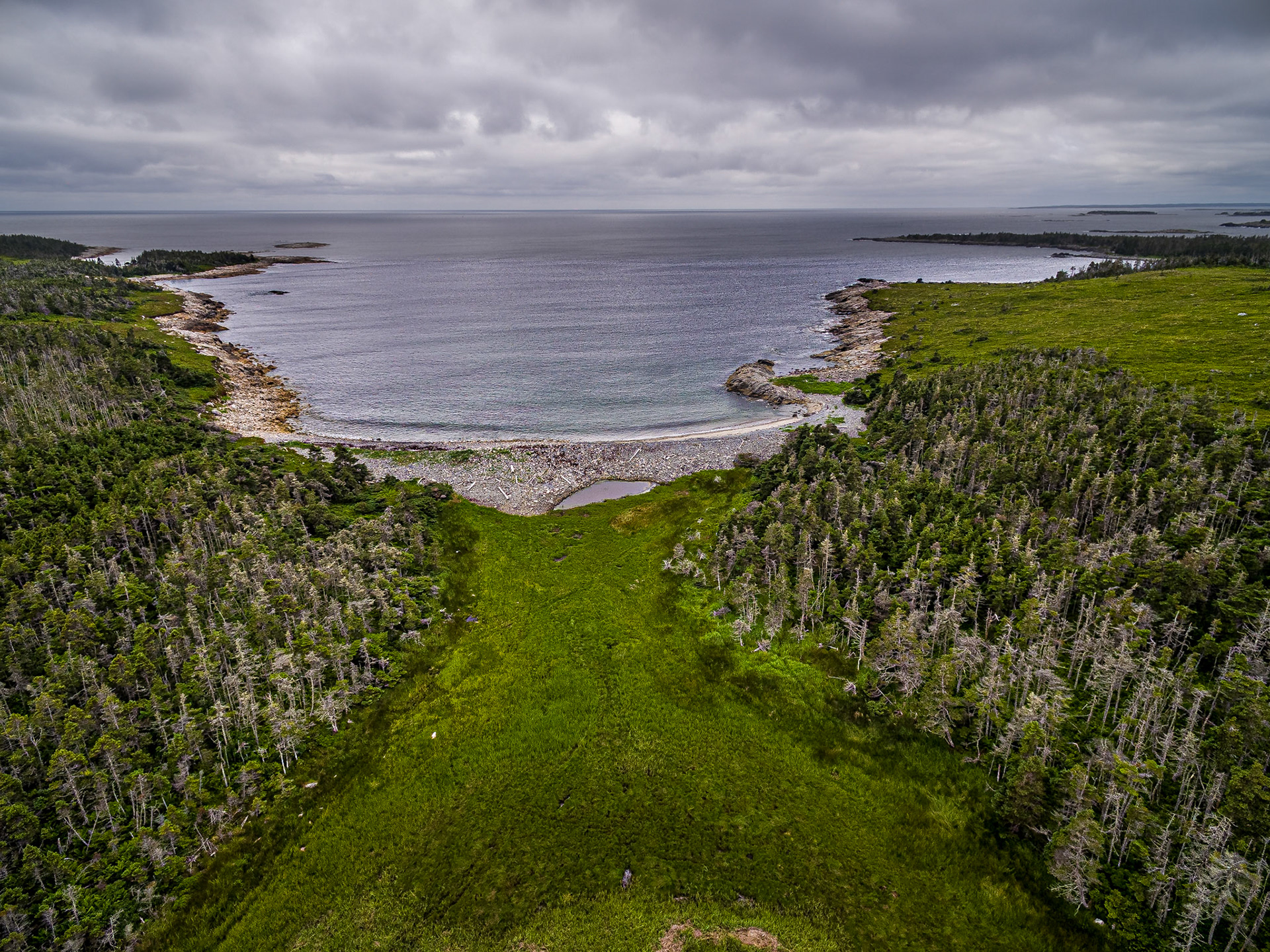 Pebble Beach