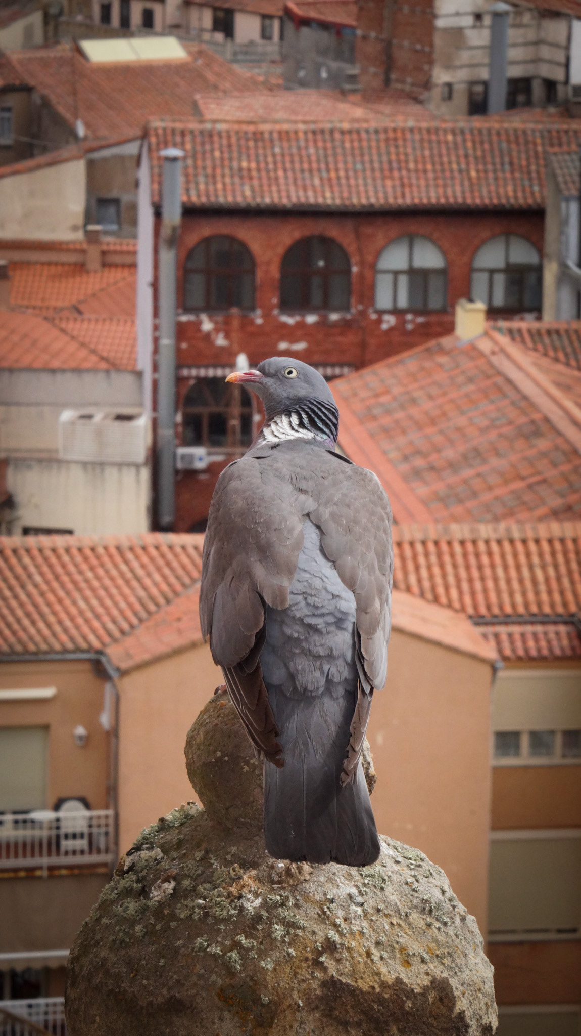 Salamanca