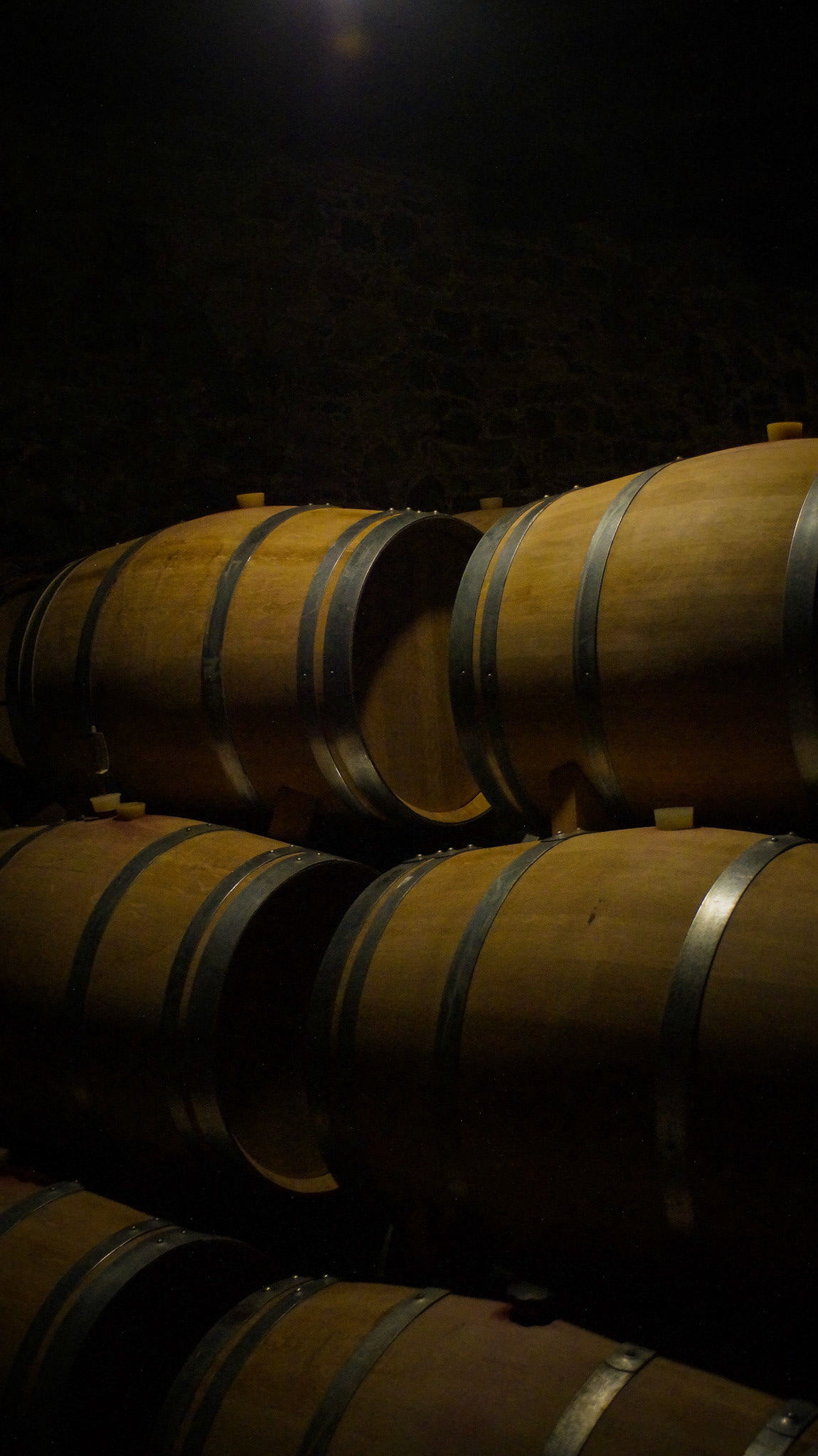 Viñedos y Bodegas Pittacum - Ponferrada