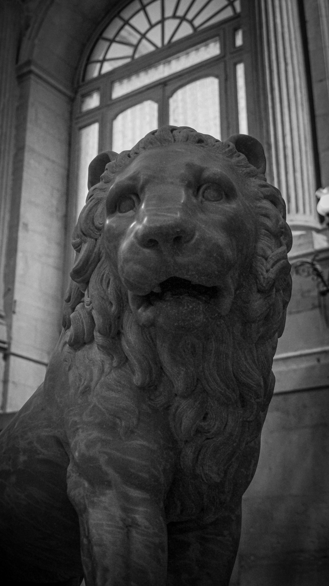 Palacio Real - Madrid