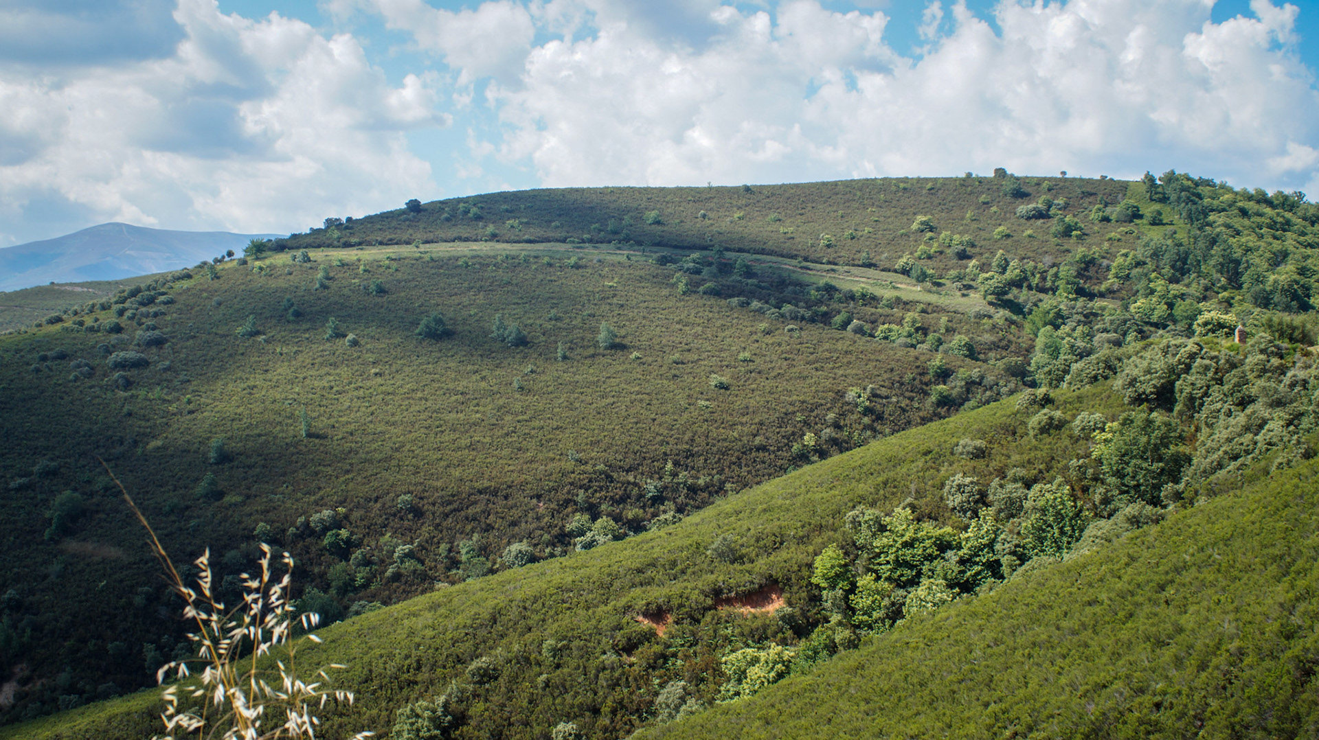 Las Médulas - Ponferrada