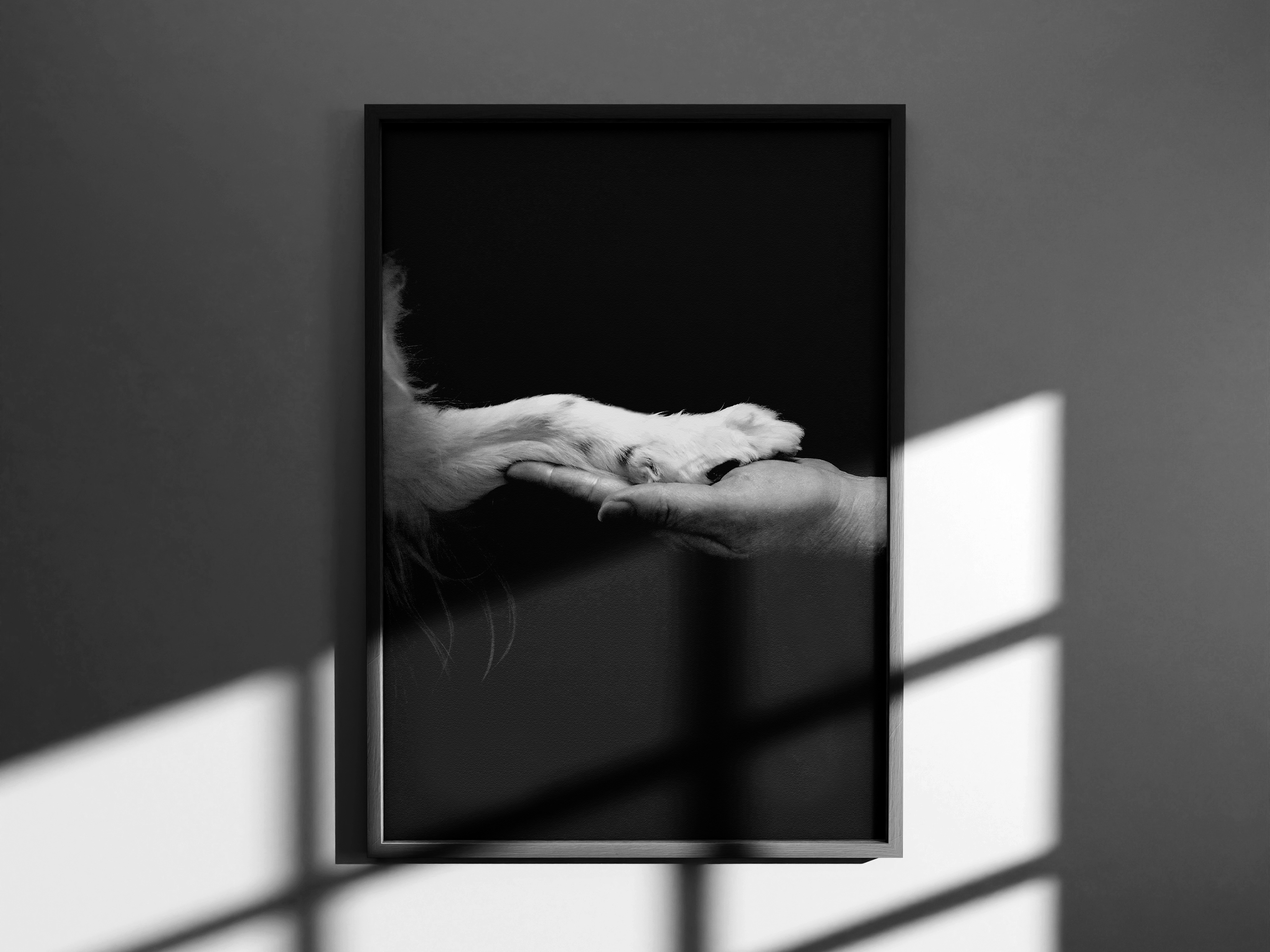 De Wafkwaf hondenkapsalon