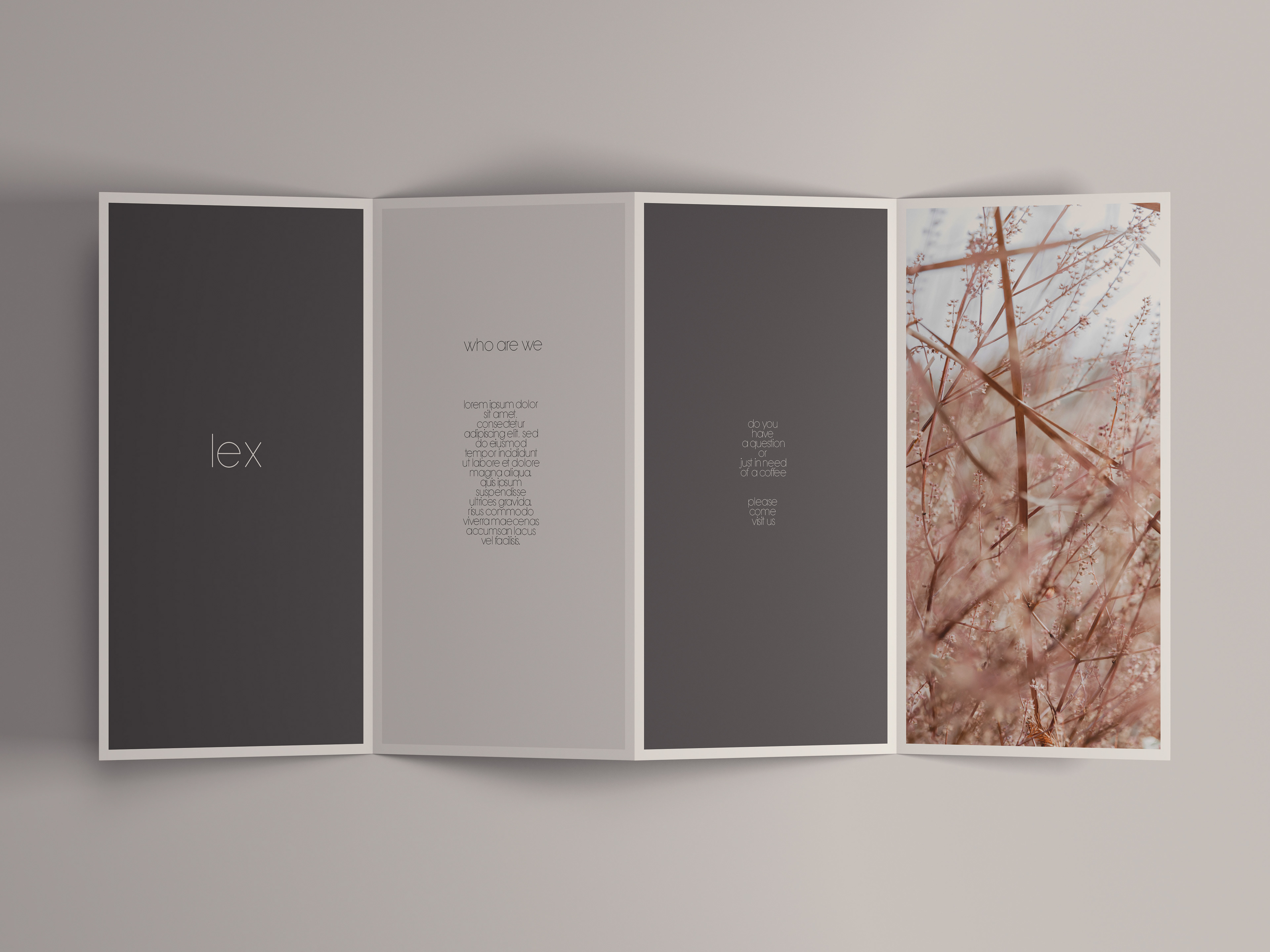 Brochure