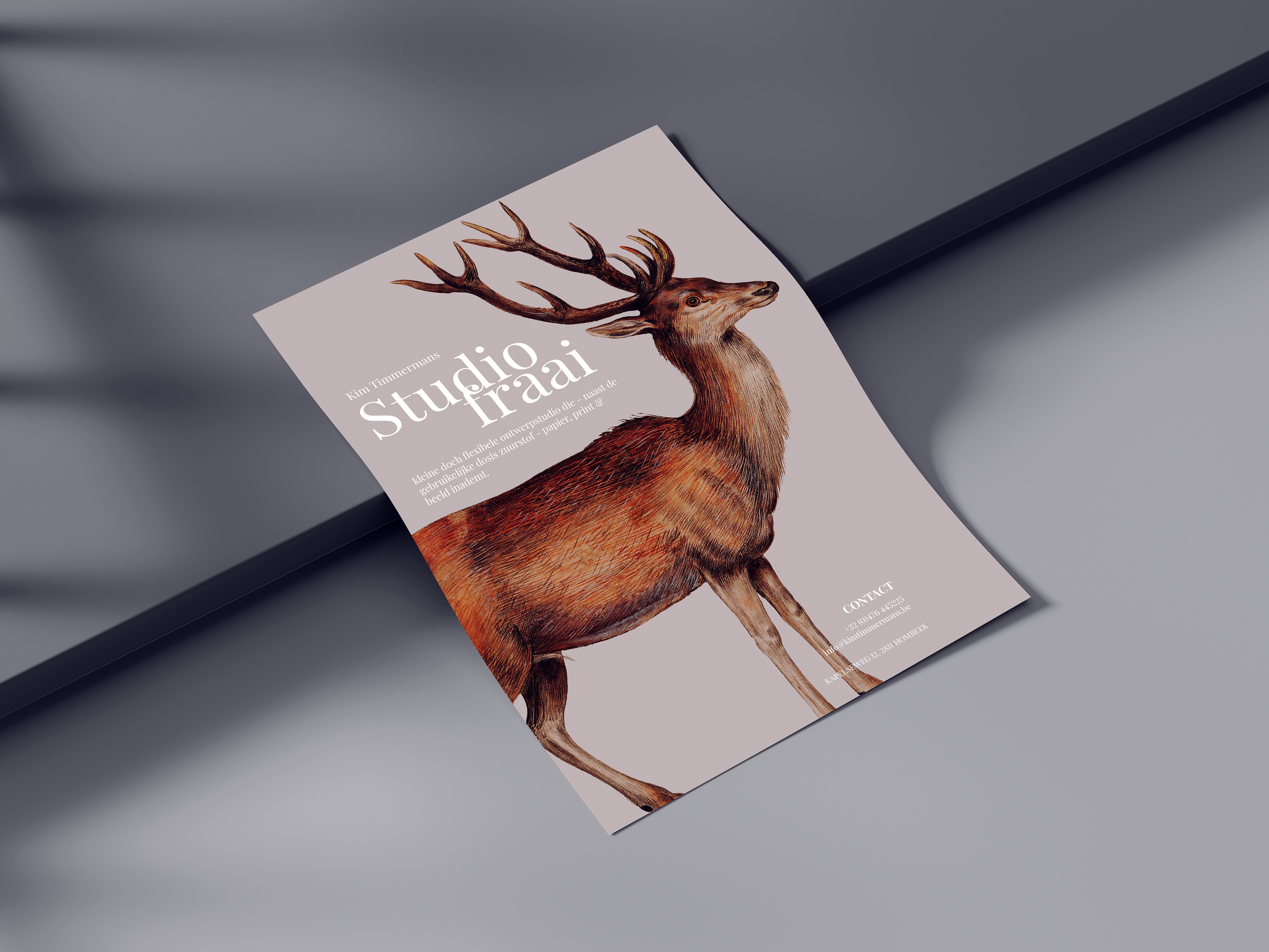 Studiofraai // flyer