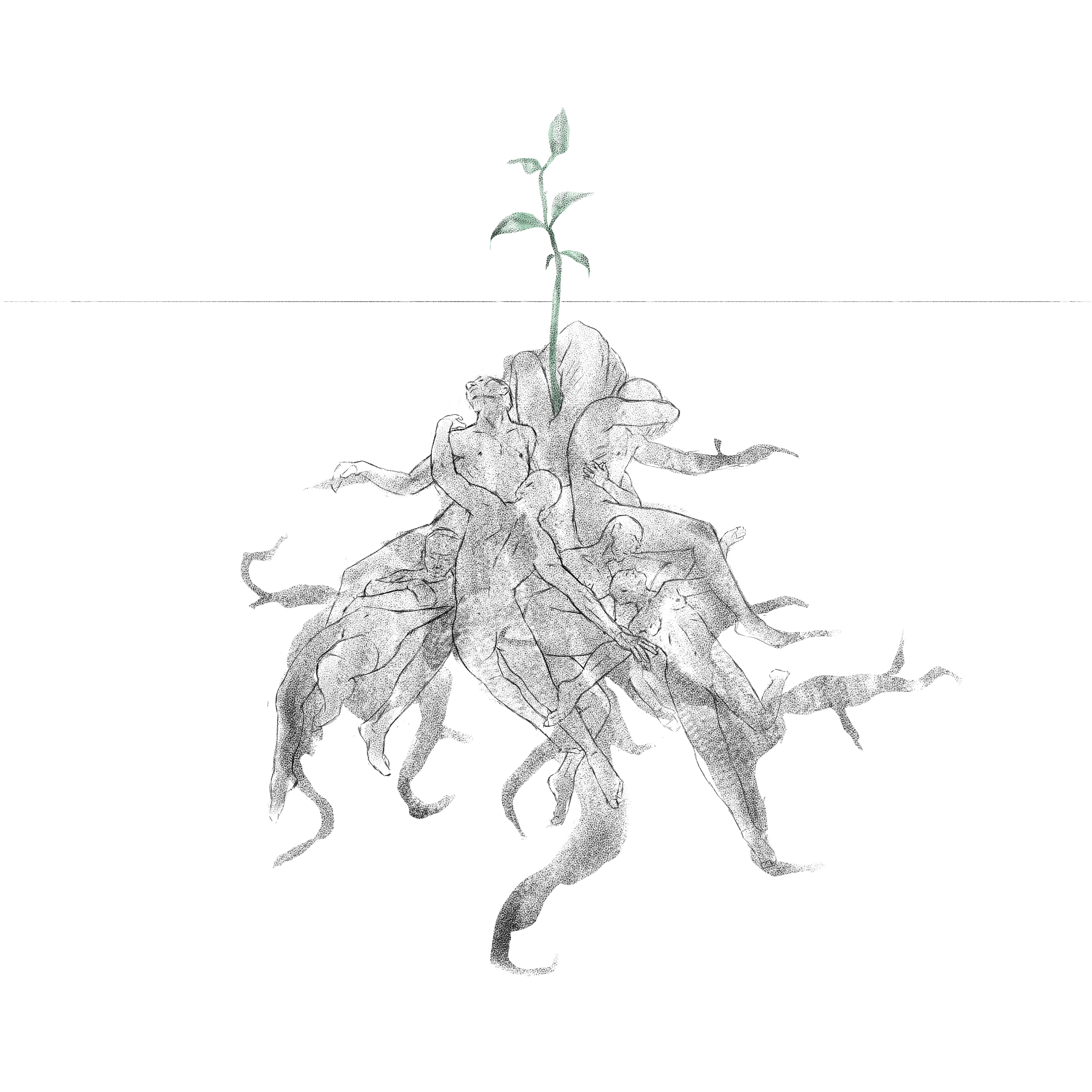 'Cultivation', sketch
