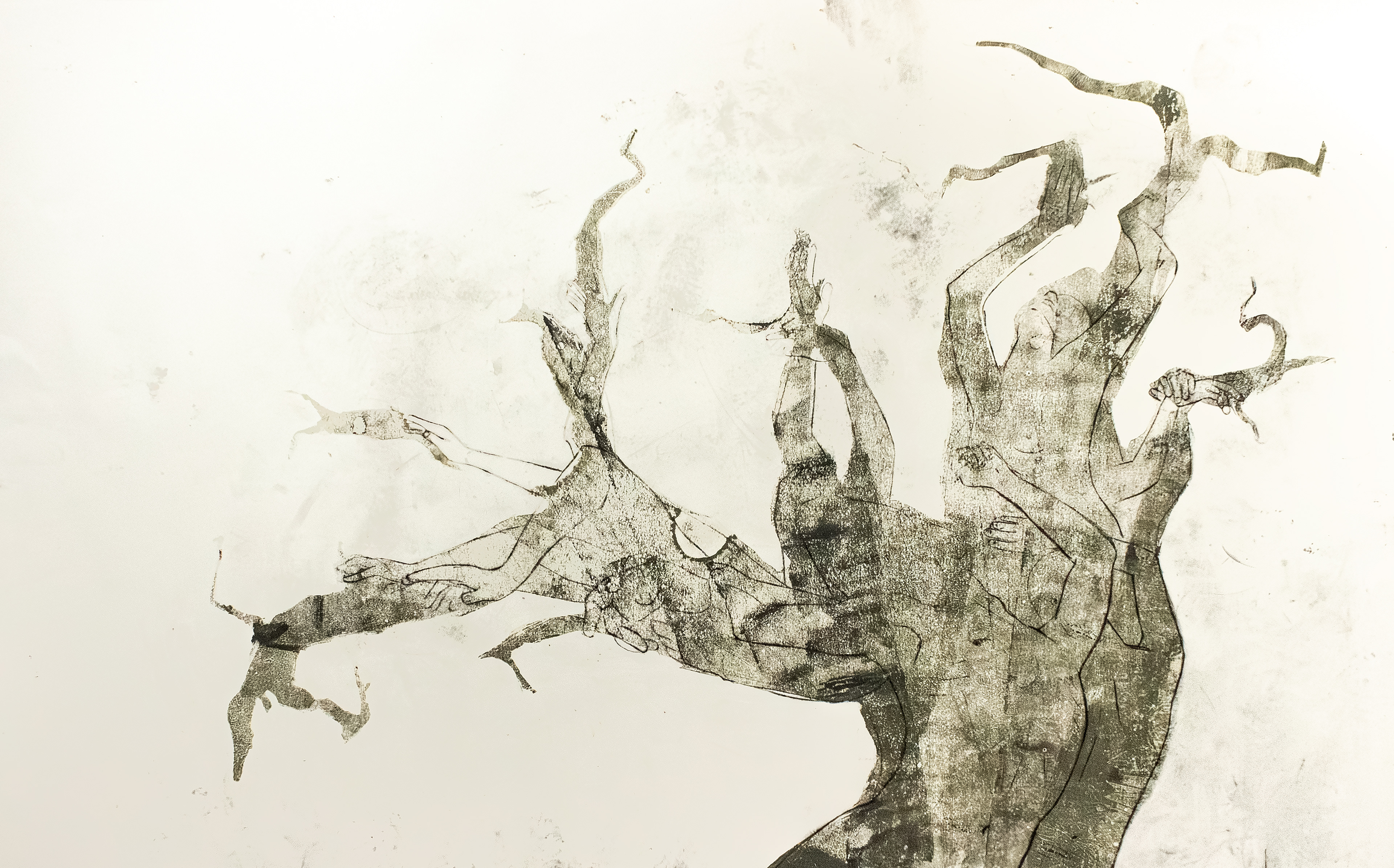 'My weariness', probe