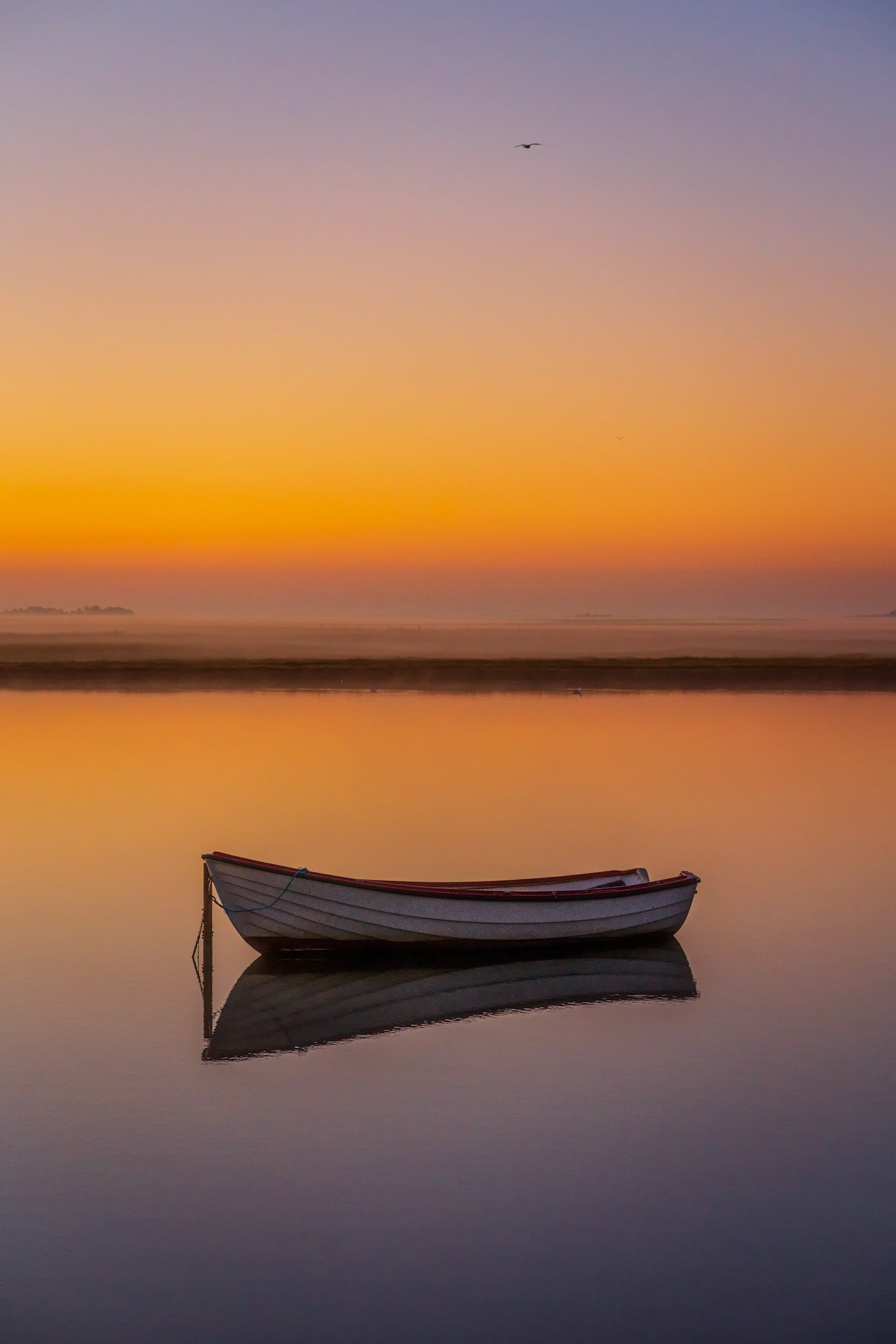 Lone boat
