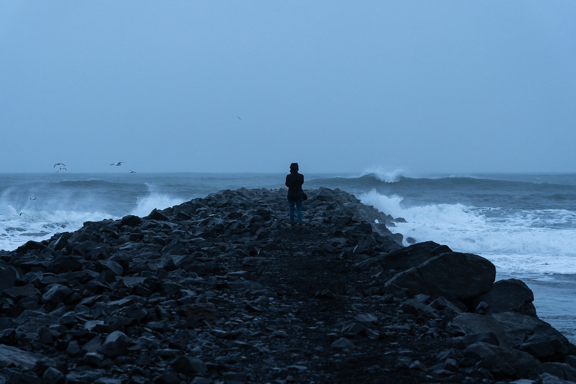 Reynisdrangar View