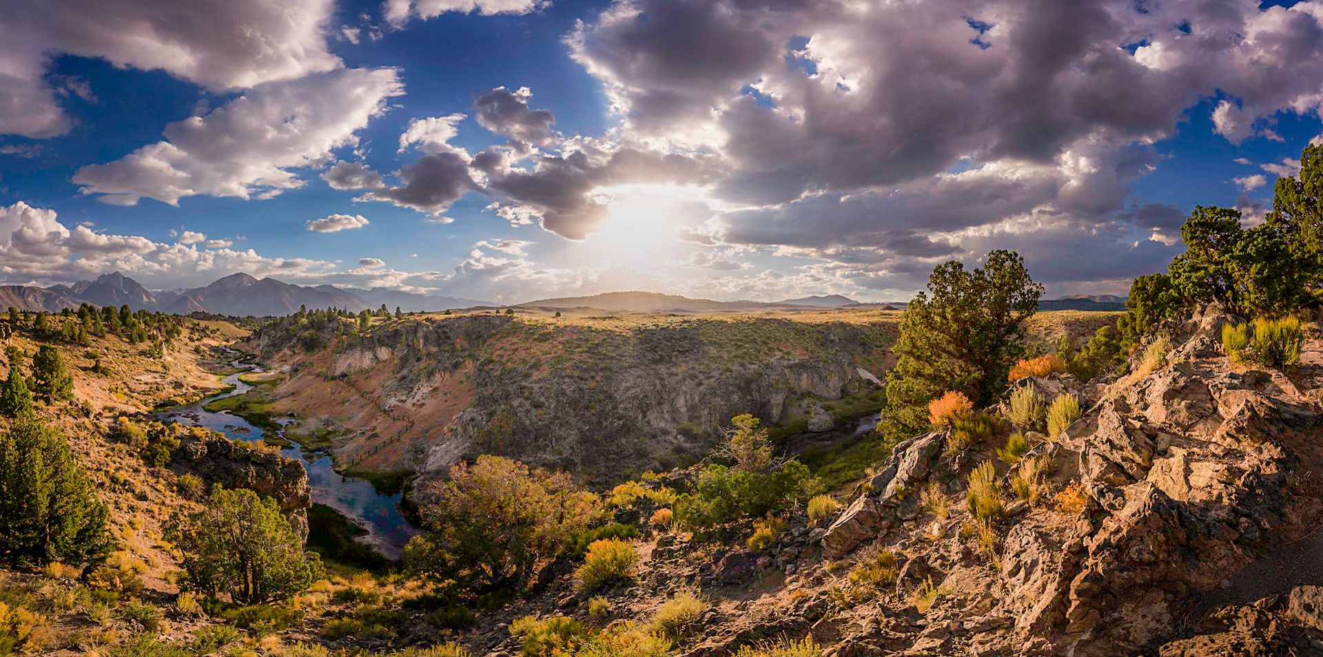 Brees Lookout