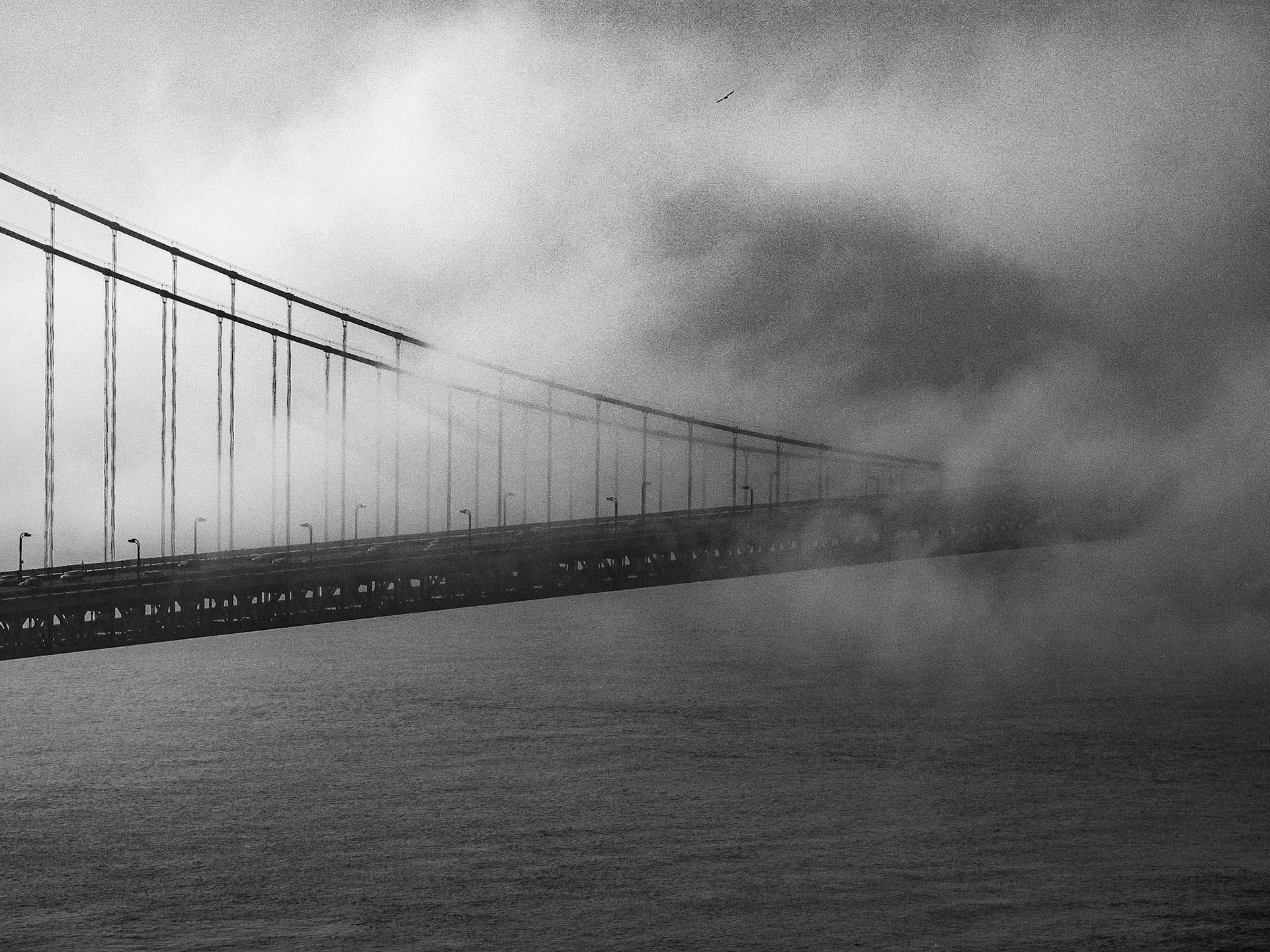 Foggy Golden gate