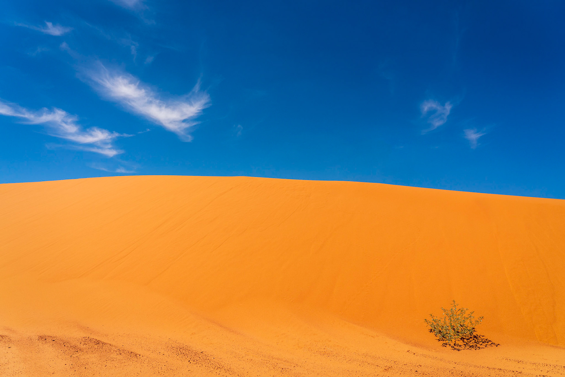 Coral Pink Sand Dunes
