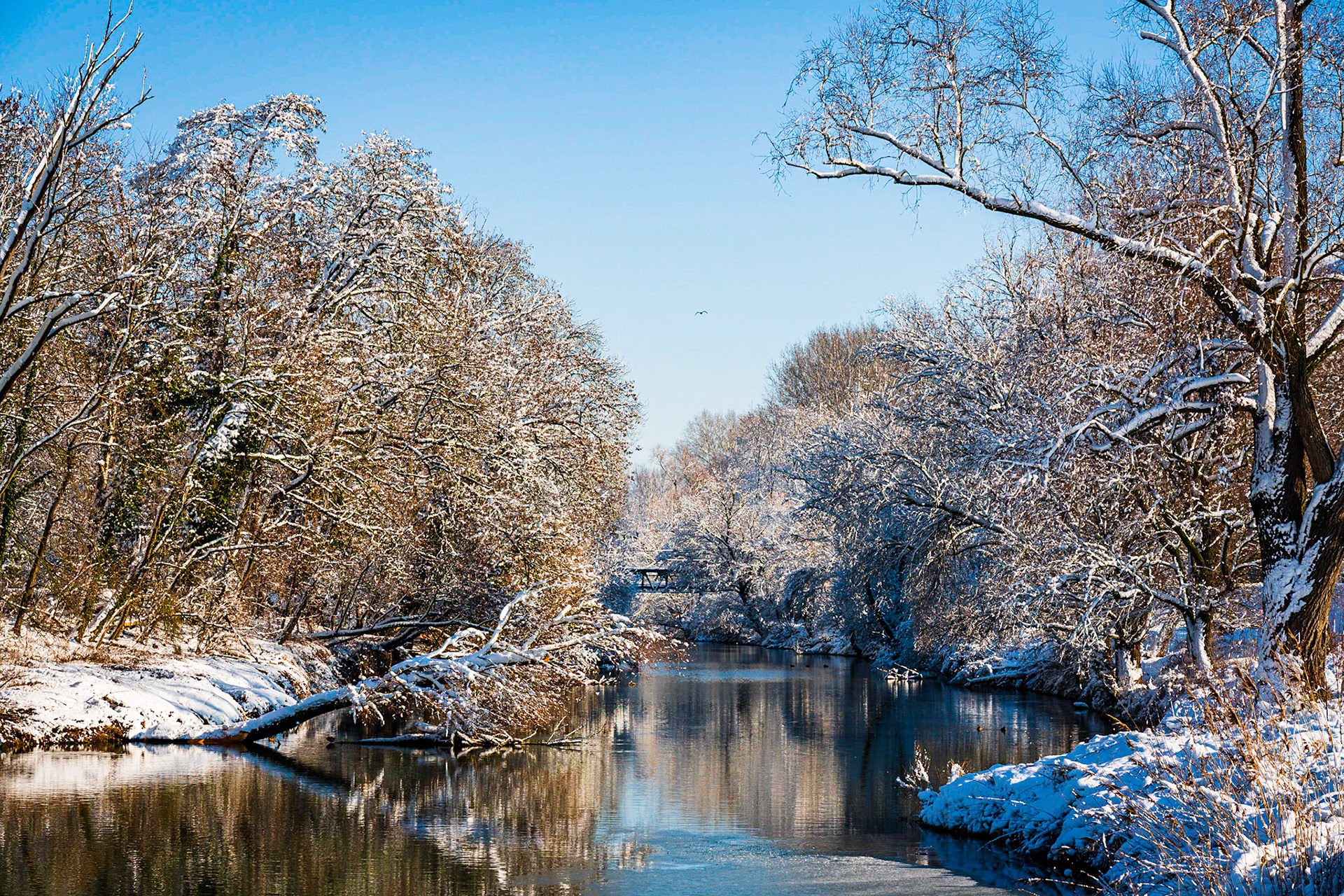 Danube in winter