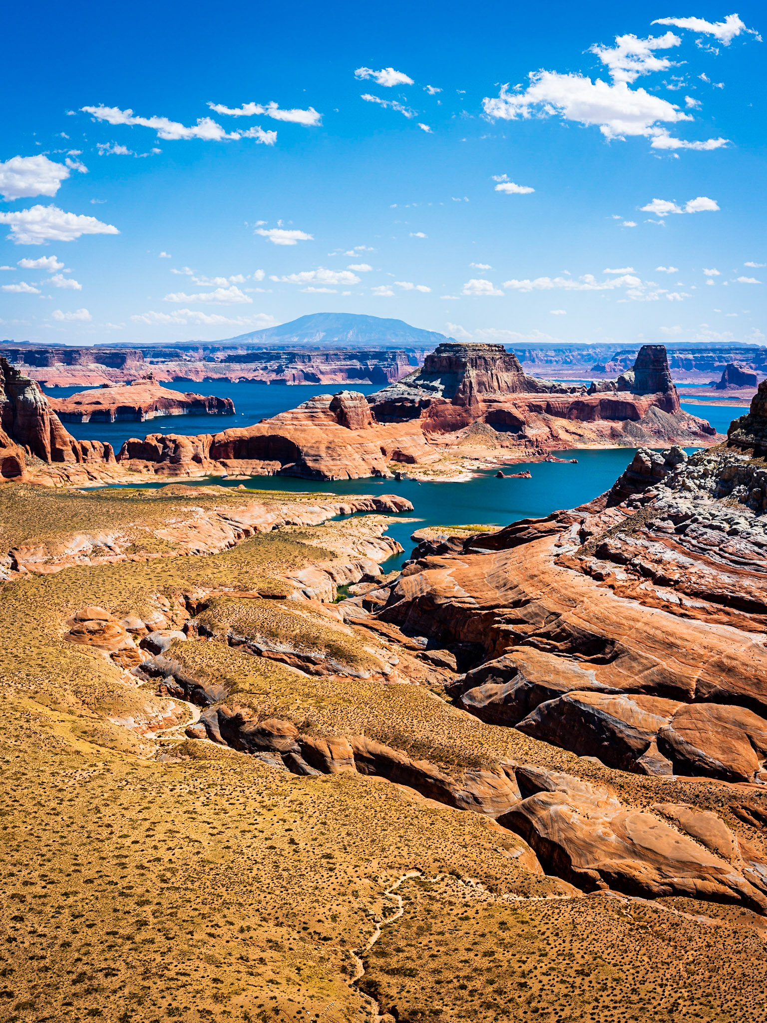 Alstrom Point