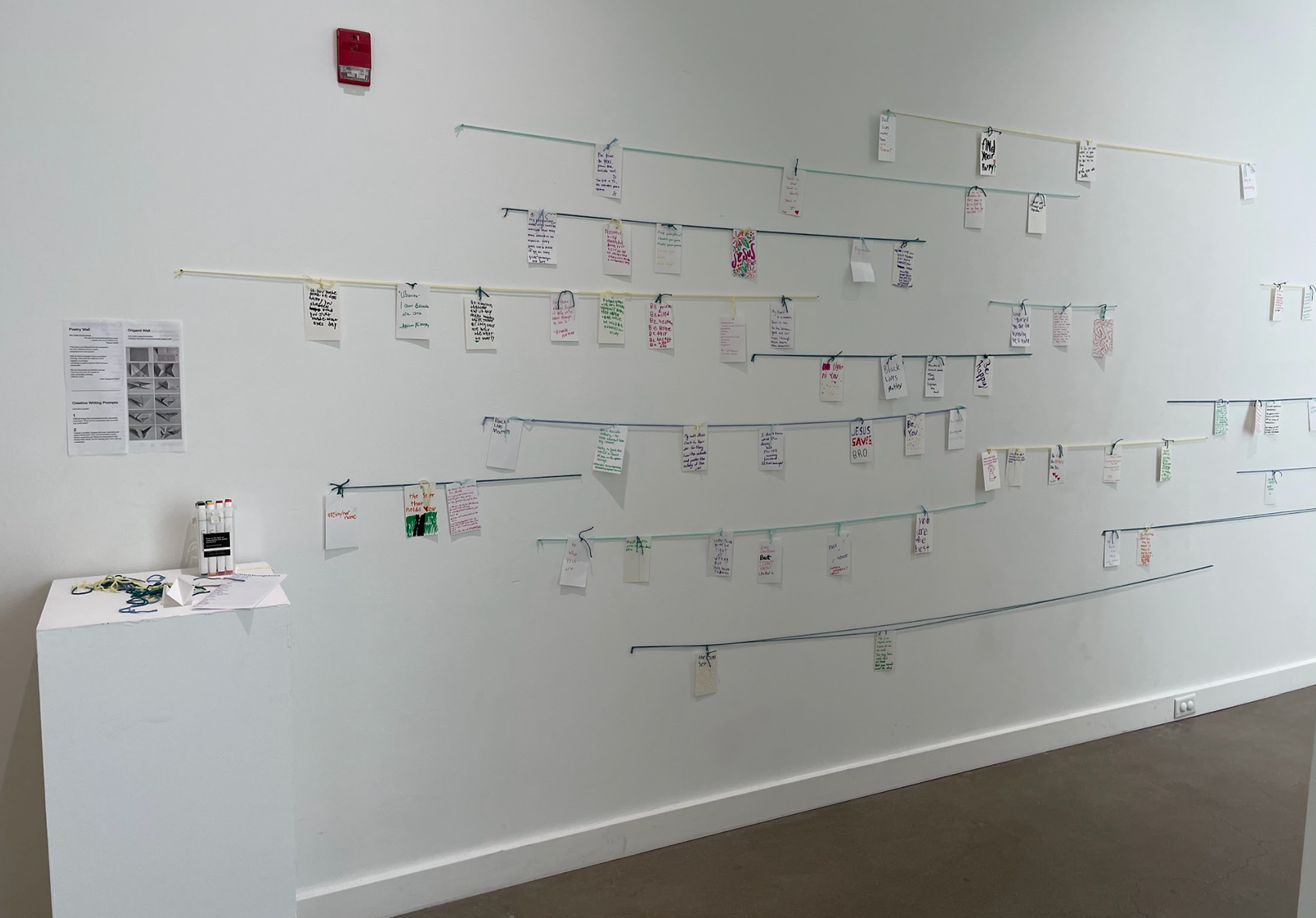 Participatory wall spring 2021