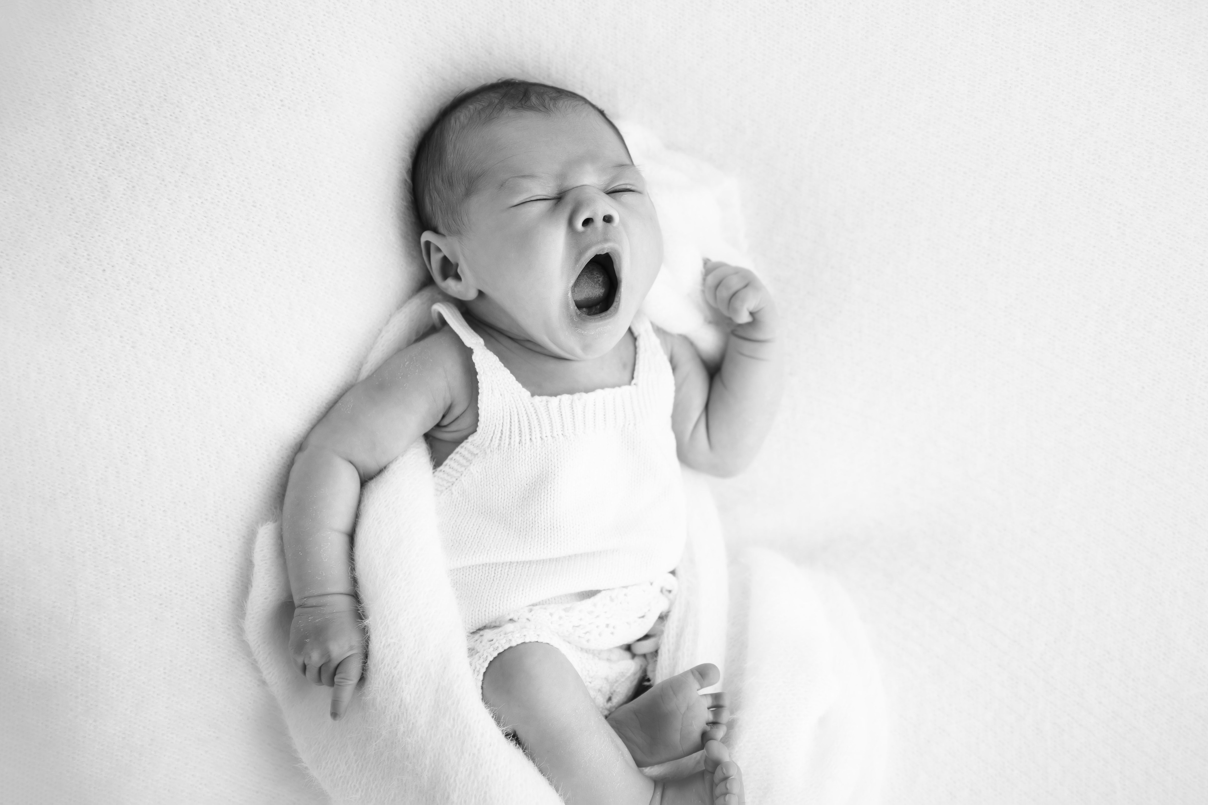Lara Drew Photography - Tauranga newborn photographer