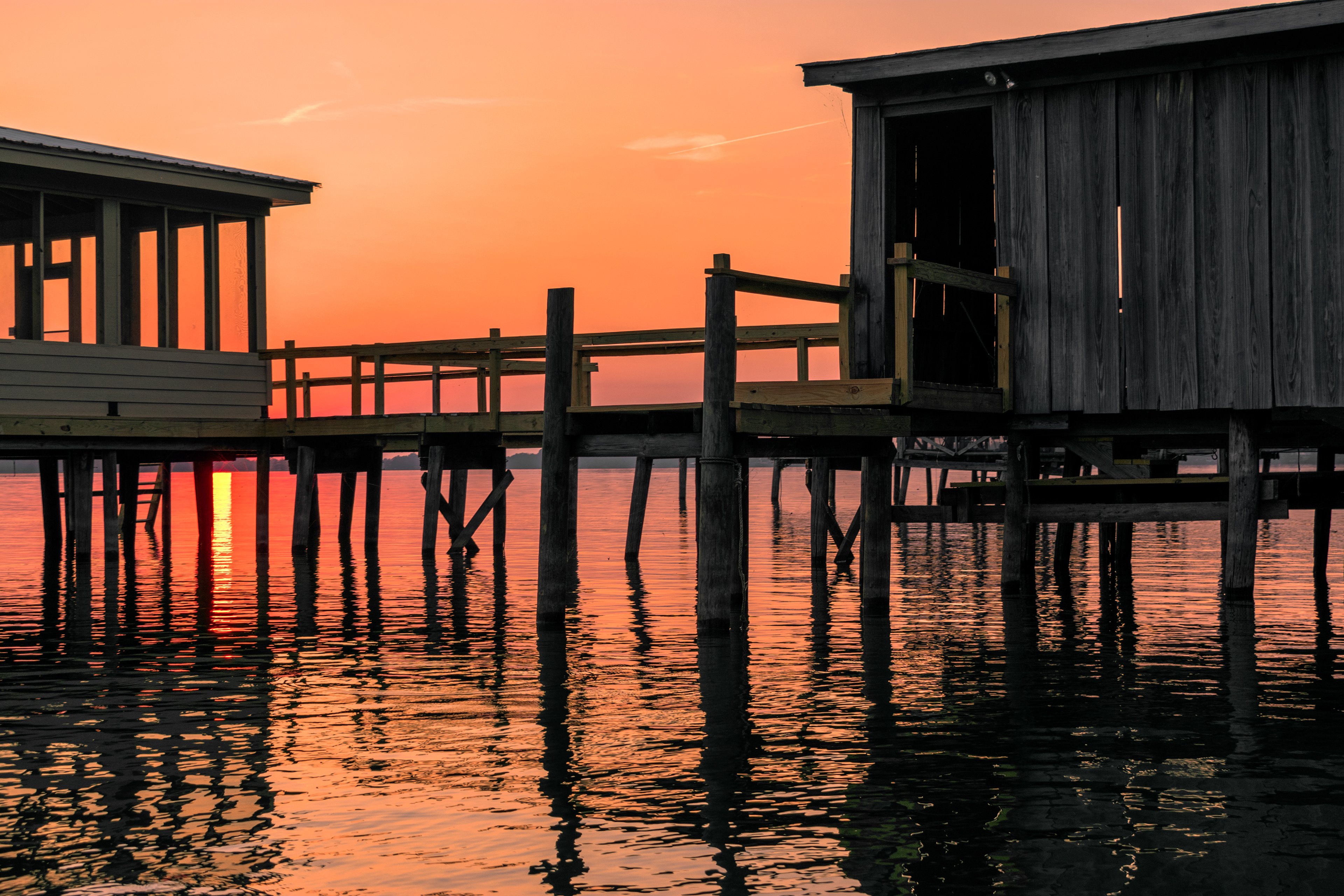 Insomnia, Septemeber 2019