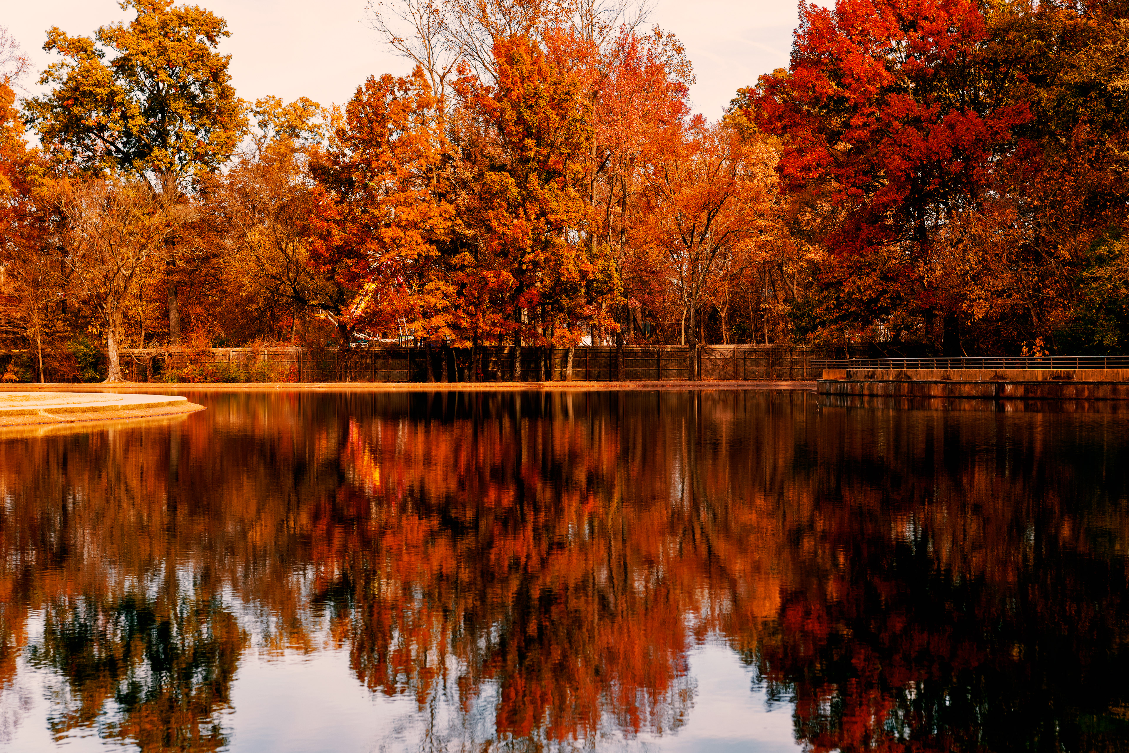 Overton Park Lake, November 2019