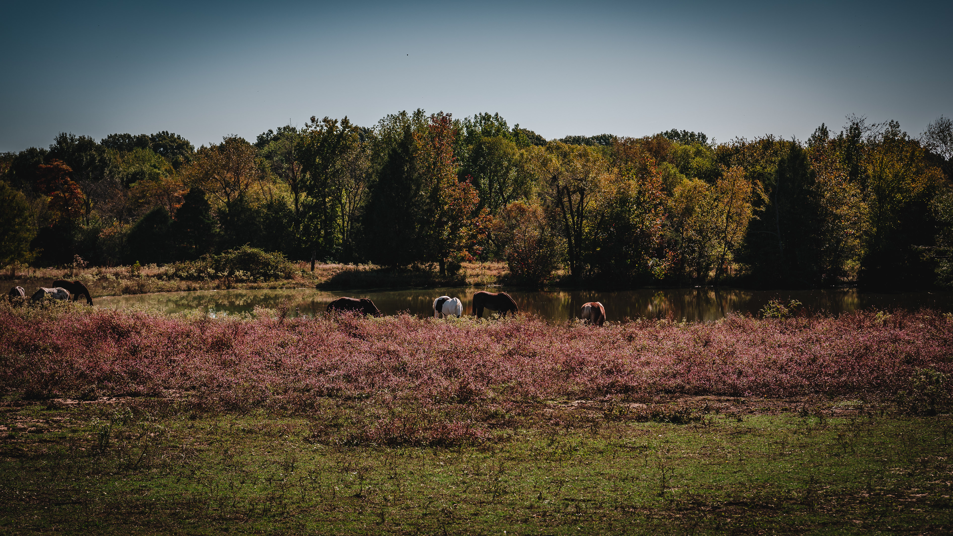 Childhood Memories, October 2019