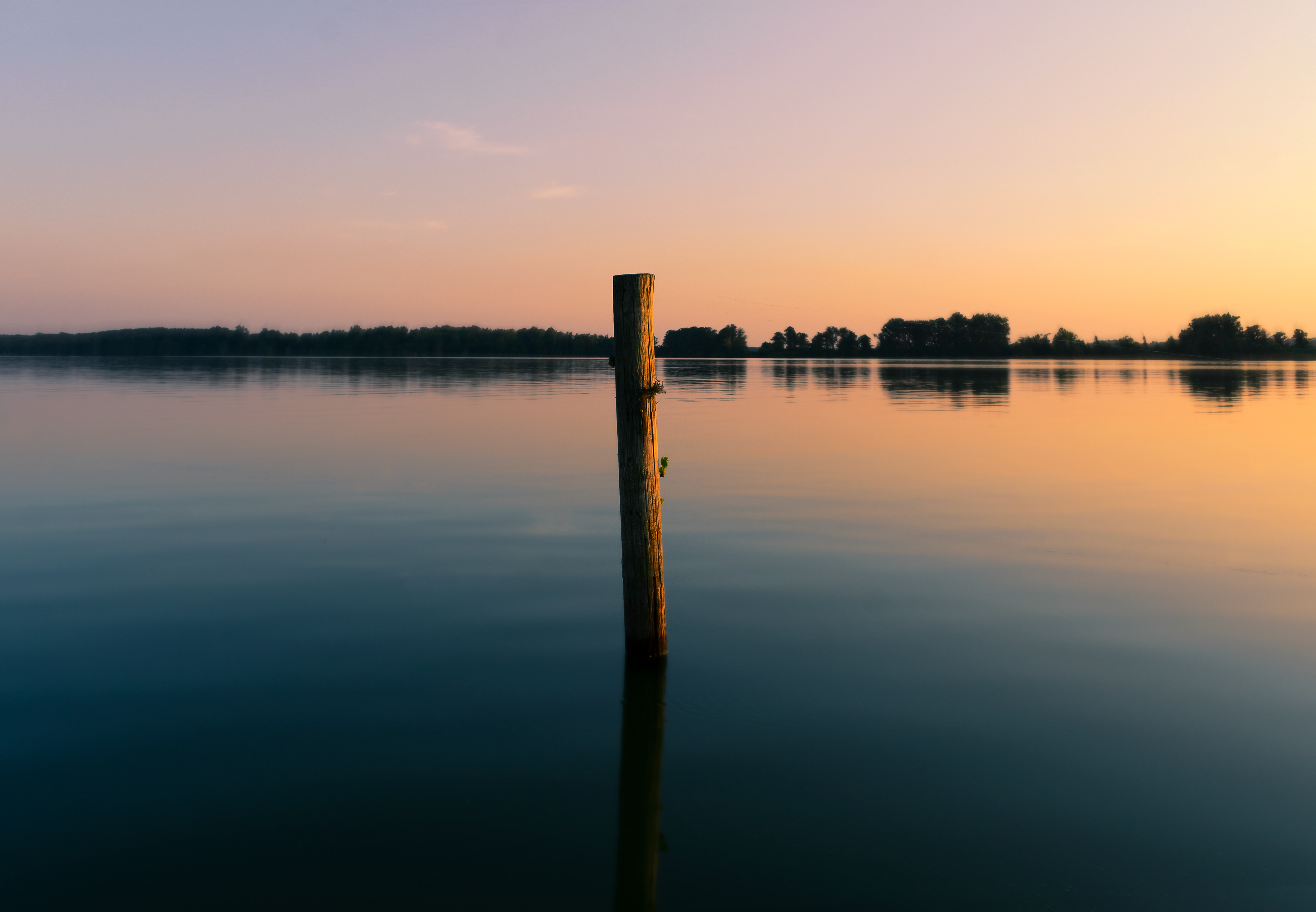 Solo, September 2019