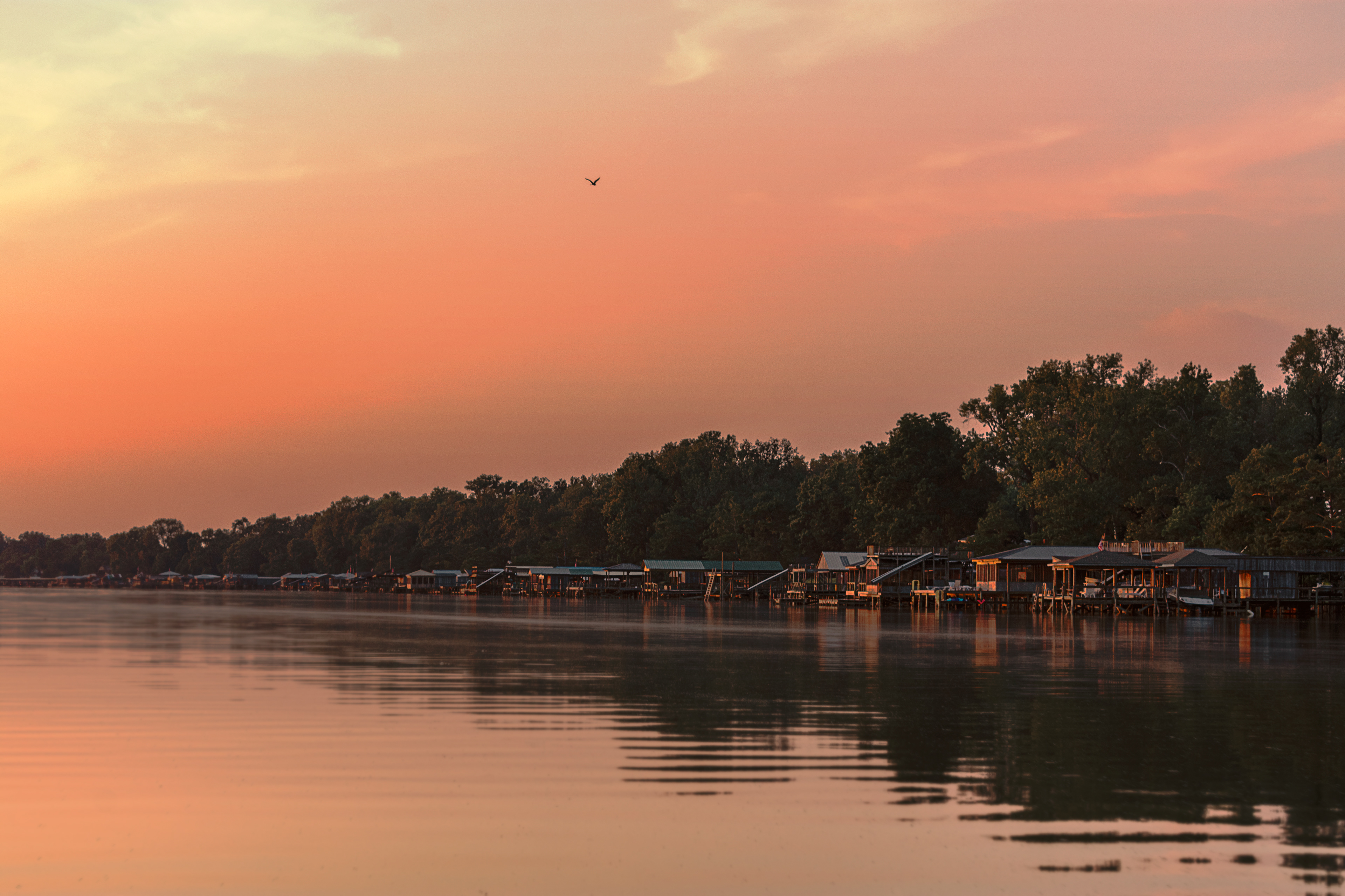 Horseshoe Lake Neighborhood, September 2019 