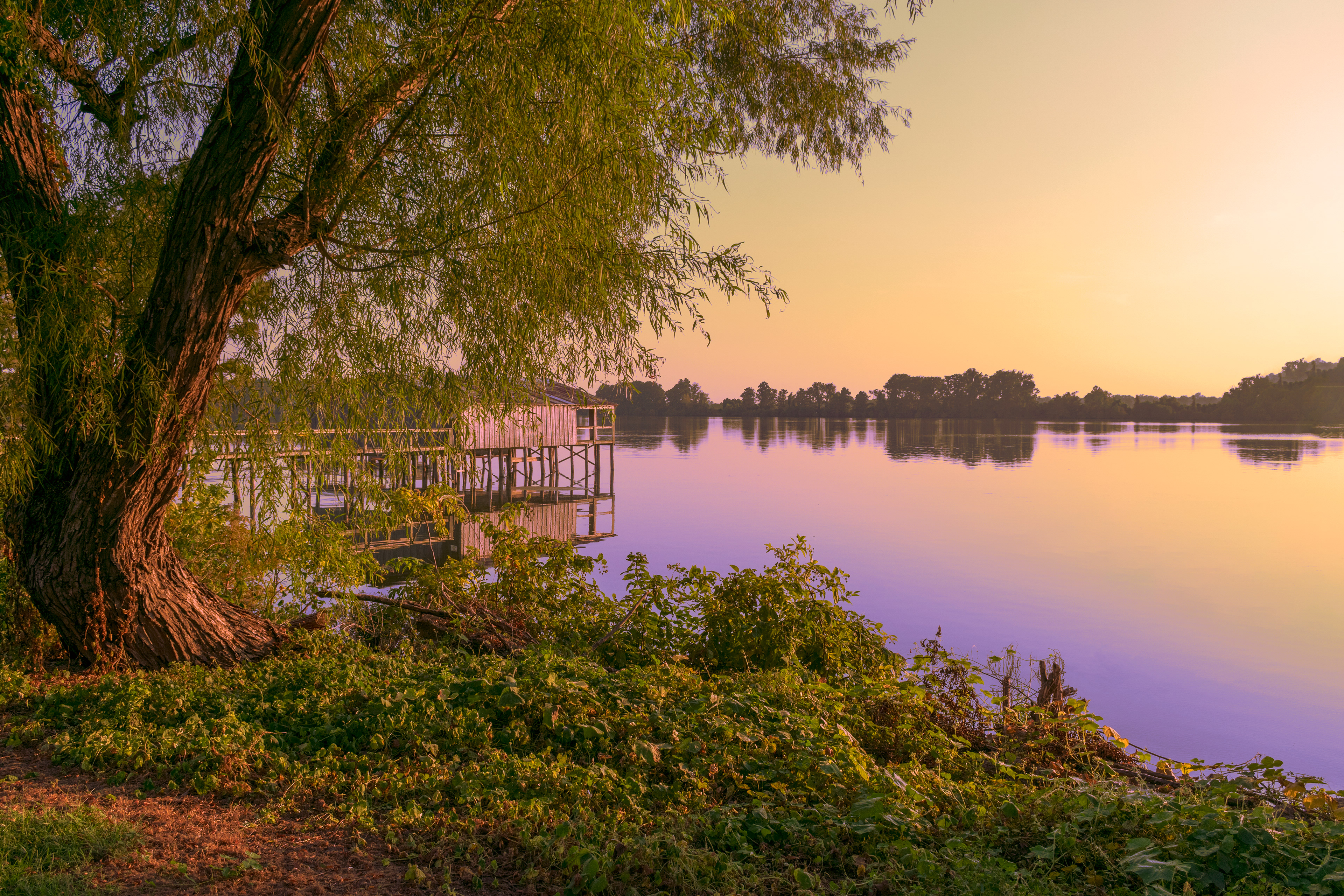 Horseshoe Lake AR, September 2019