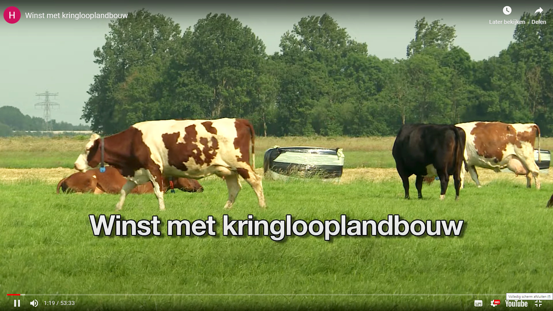Voor deze film heb ik de animaties gemaakt. 