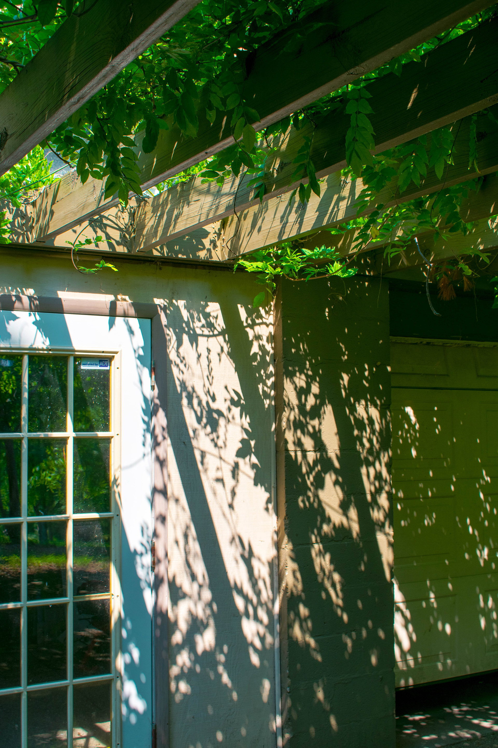 Over the garden wall: Received a Silver key in Photography