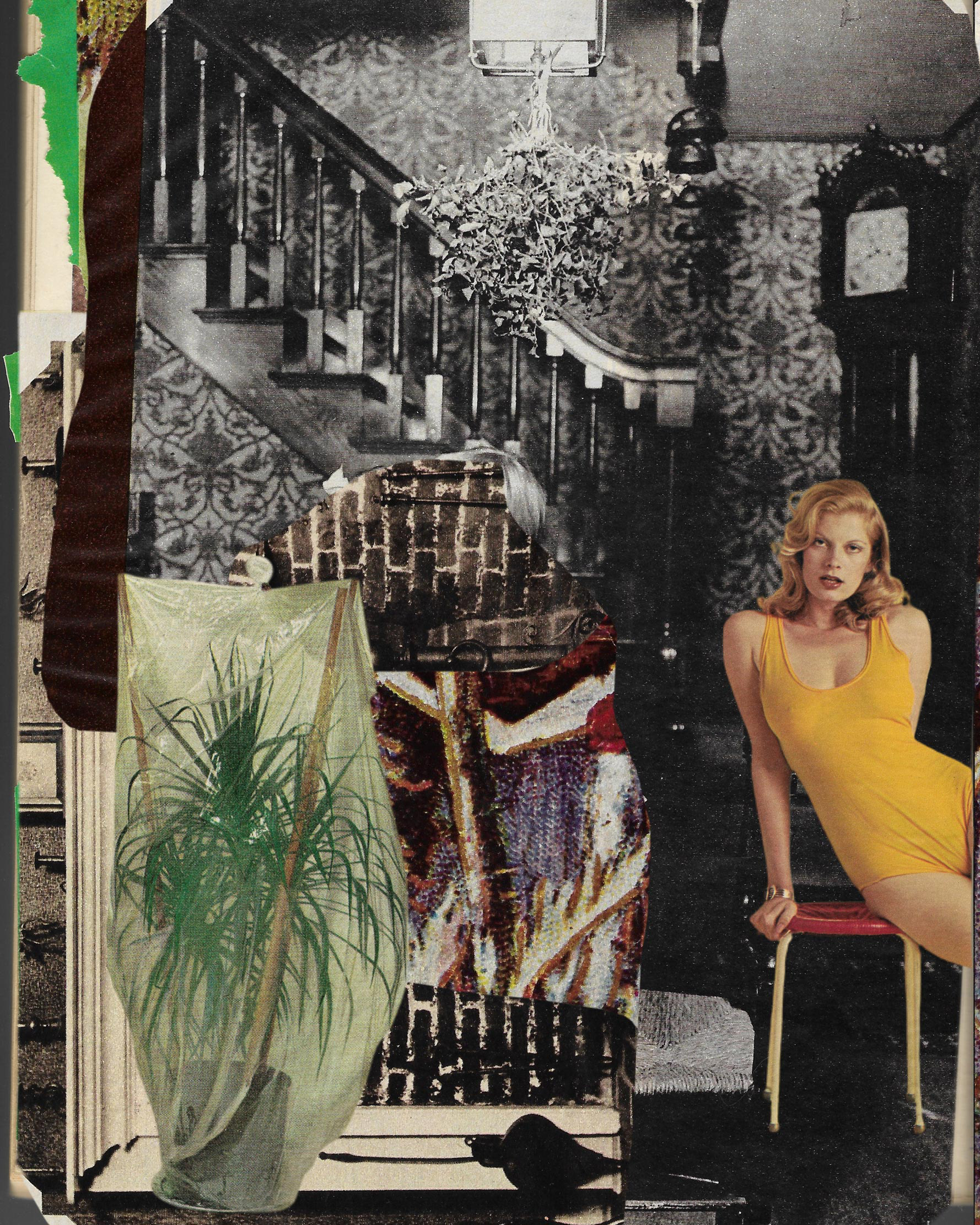 Keeping Plants Alive While You're Away | Artweeks Akaretler 2022