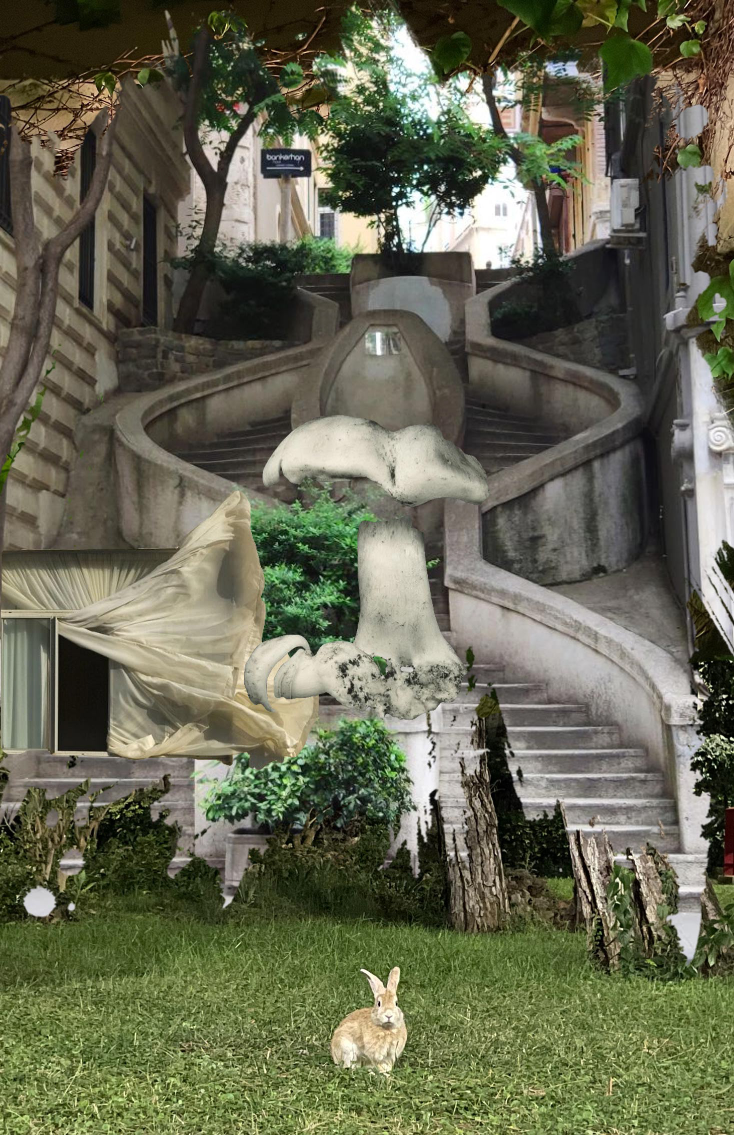 Rabbit Roll | İstanbul State Of Mind 2021