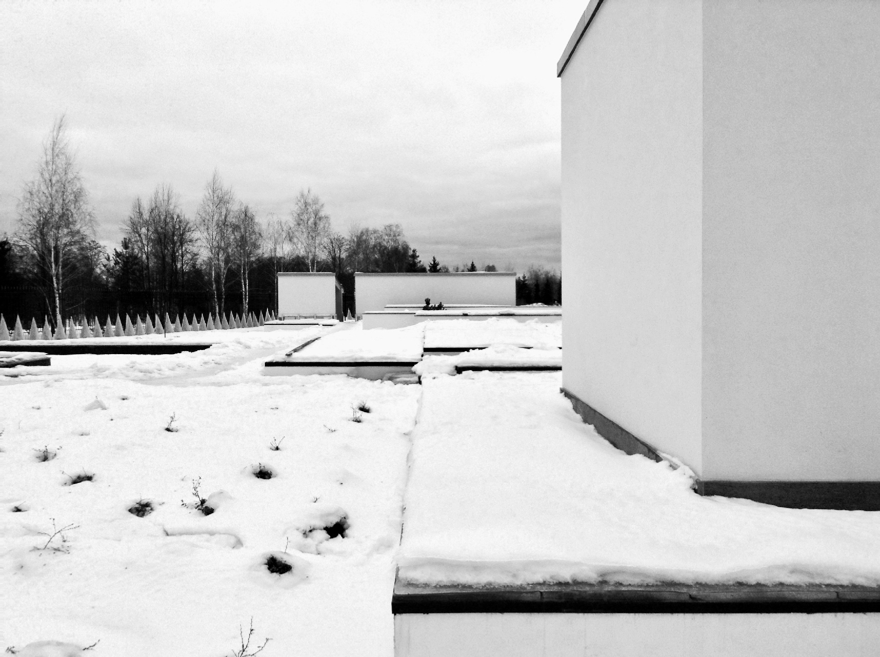 Garden in winter time
