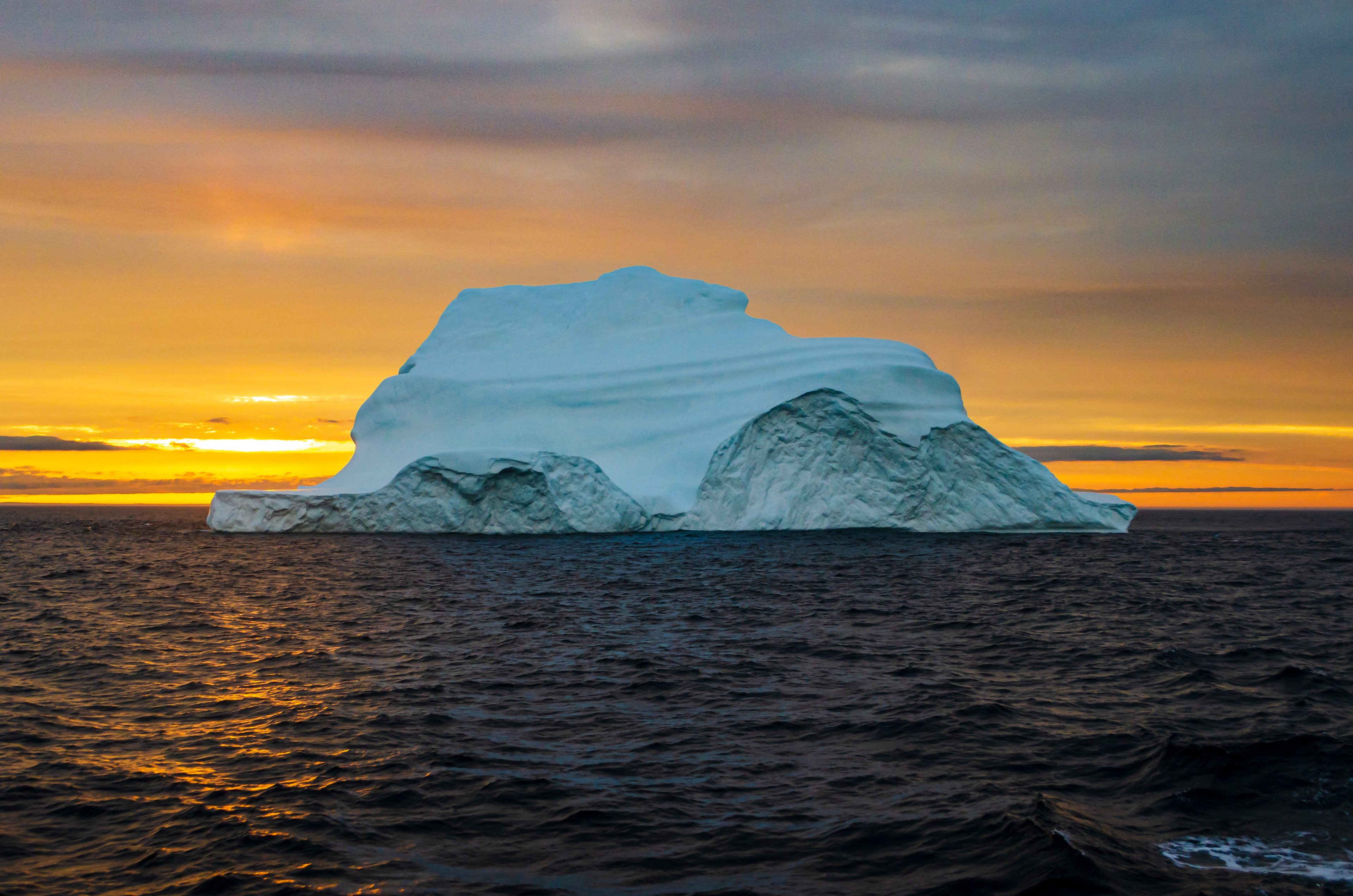 Bonavista Iceberg