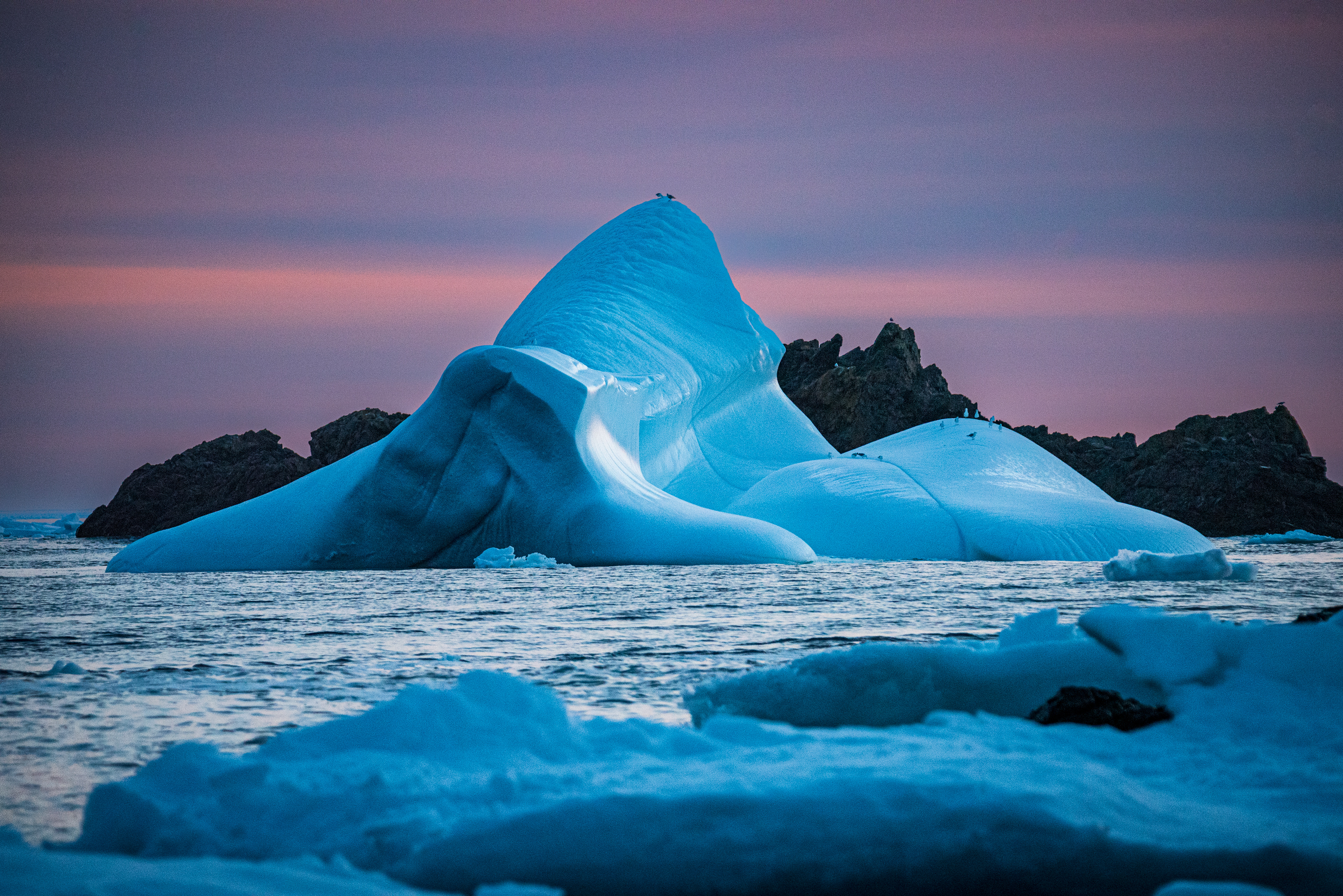 Twillingate Iceberg