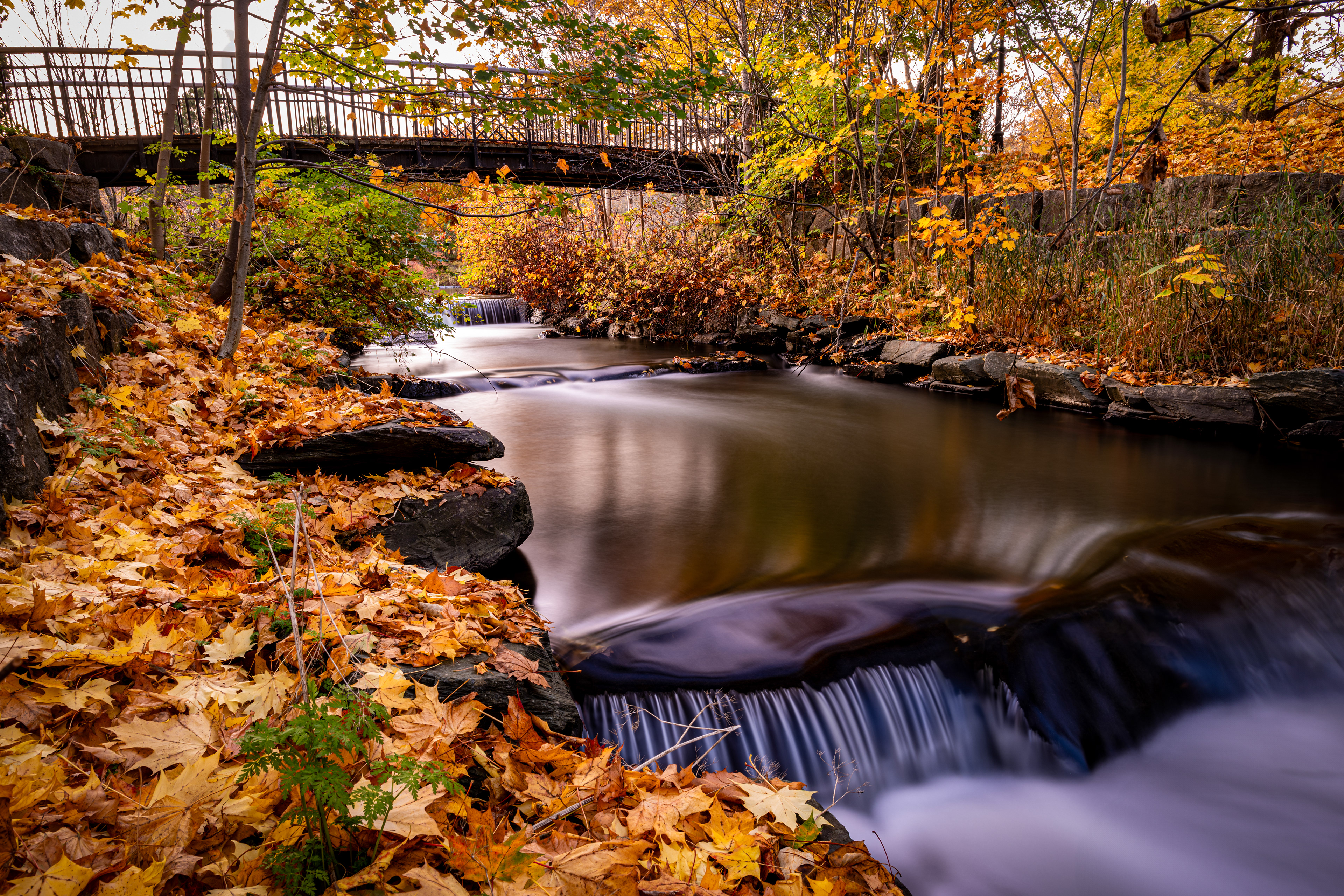Rennie;s Mill River Trail