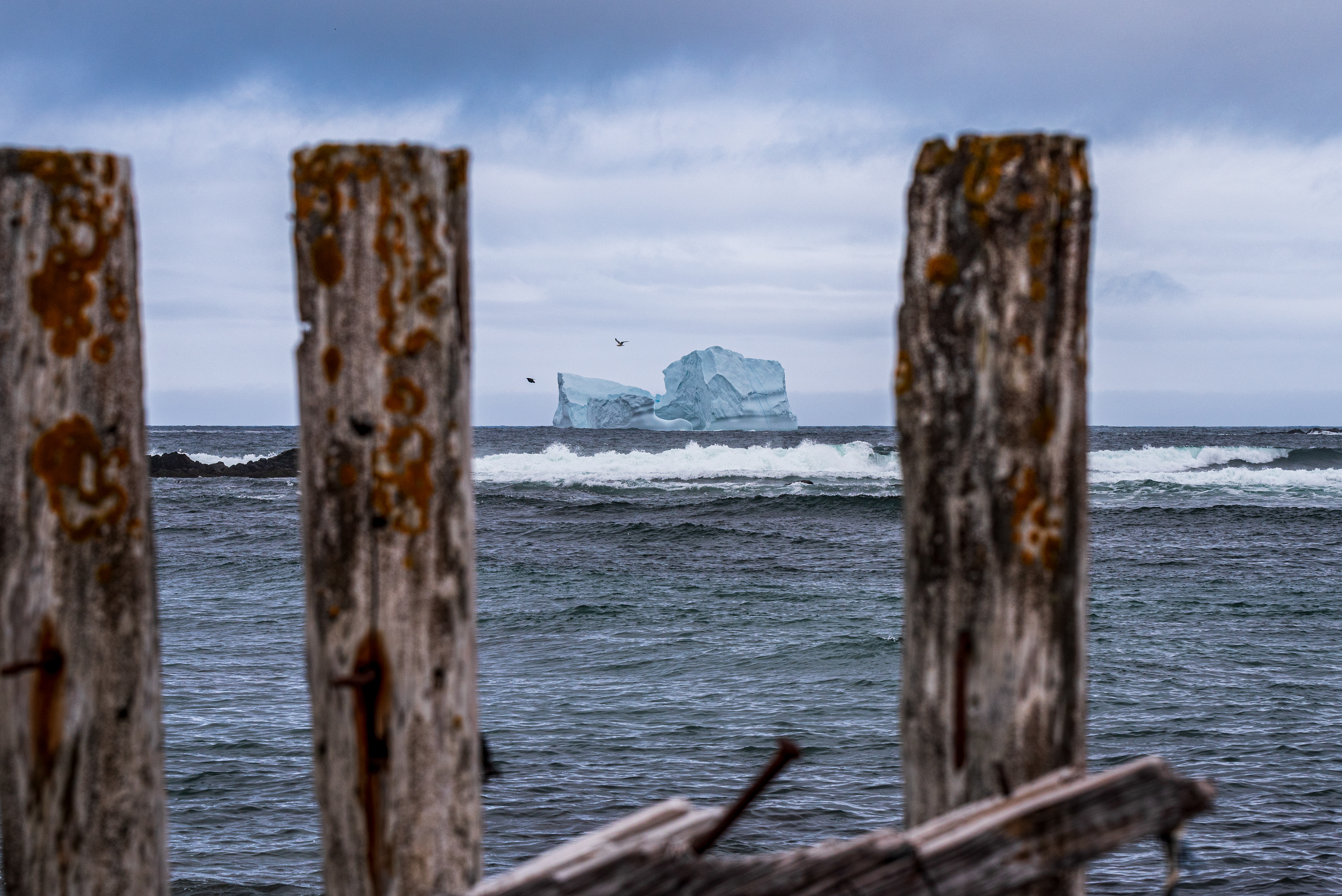 Iceberg Ferryland