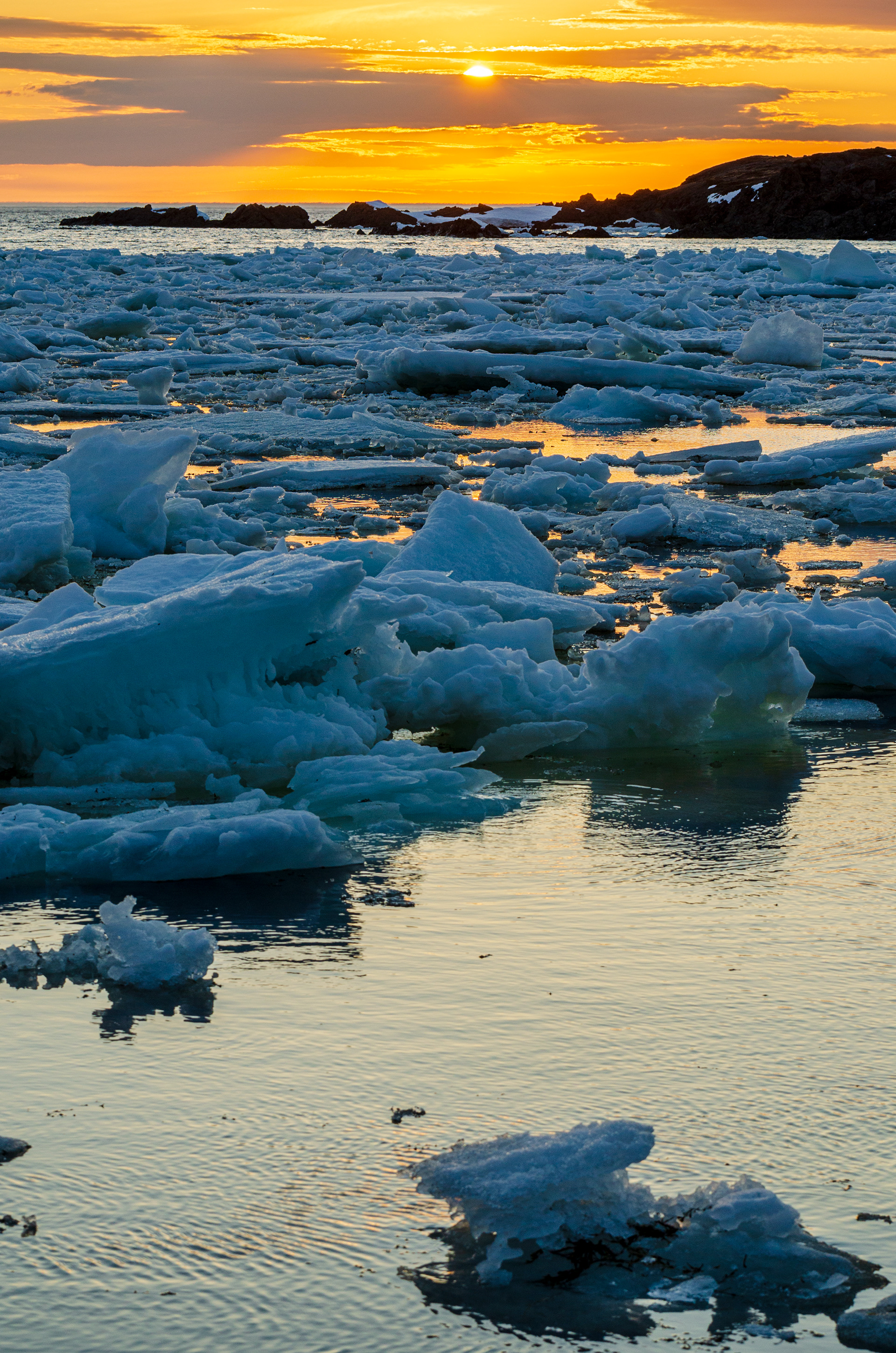 Sea Ice at Sunset, Twillingate