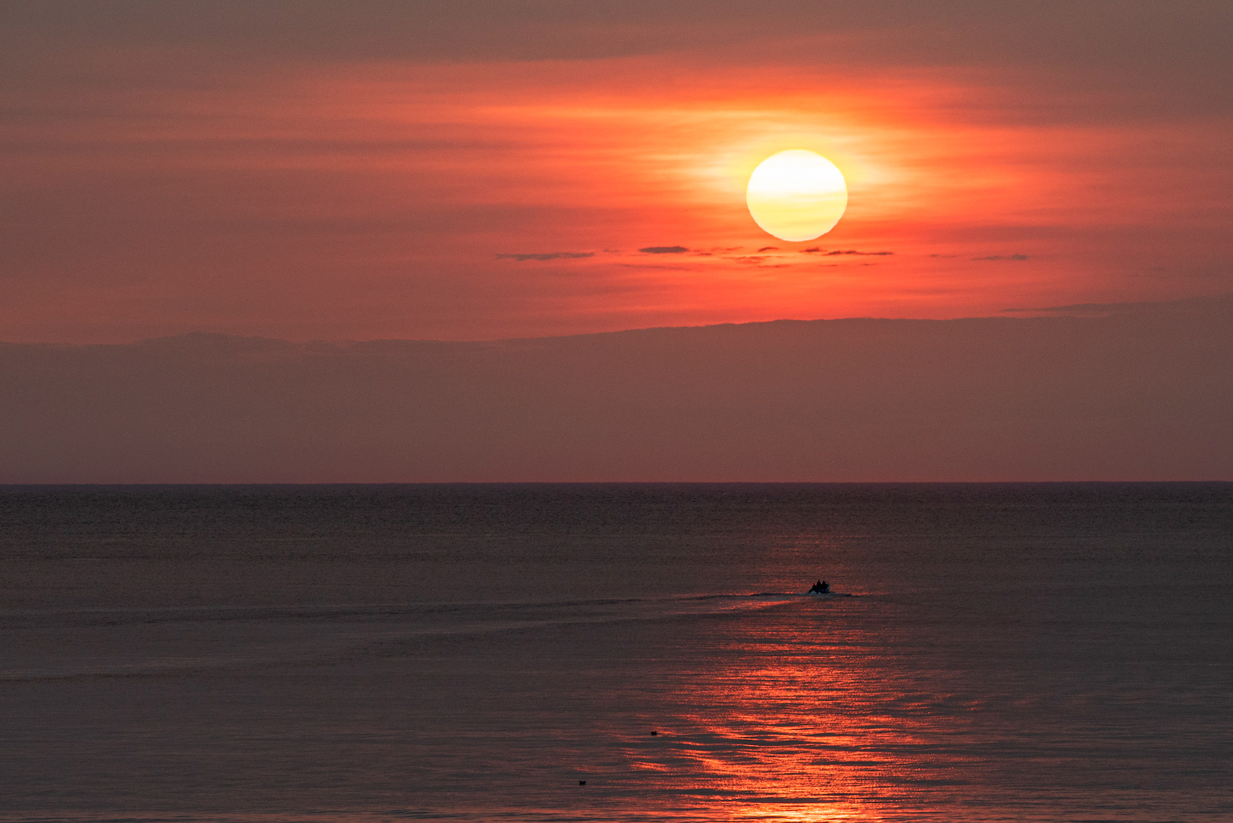 Sunrise, Witless Bay