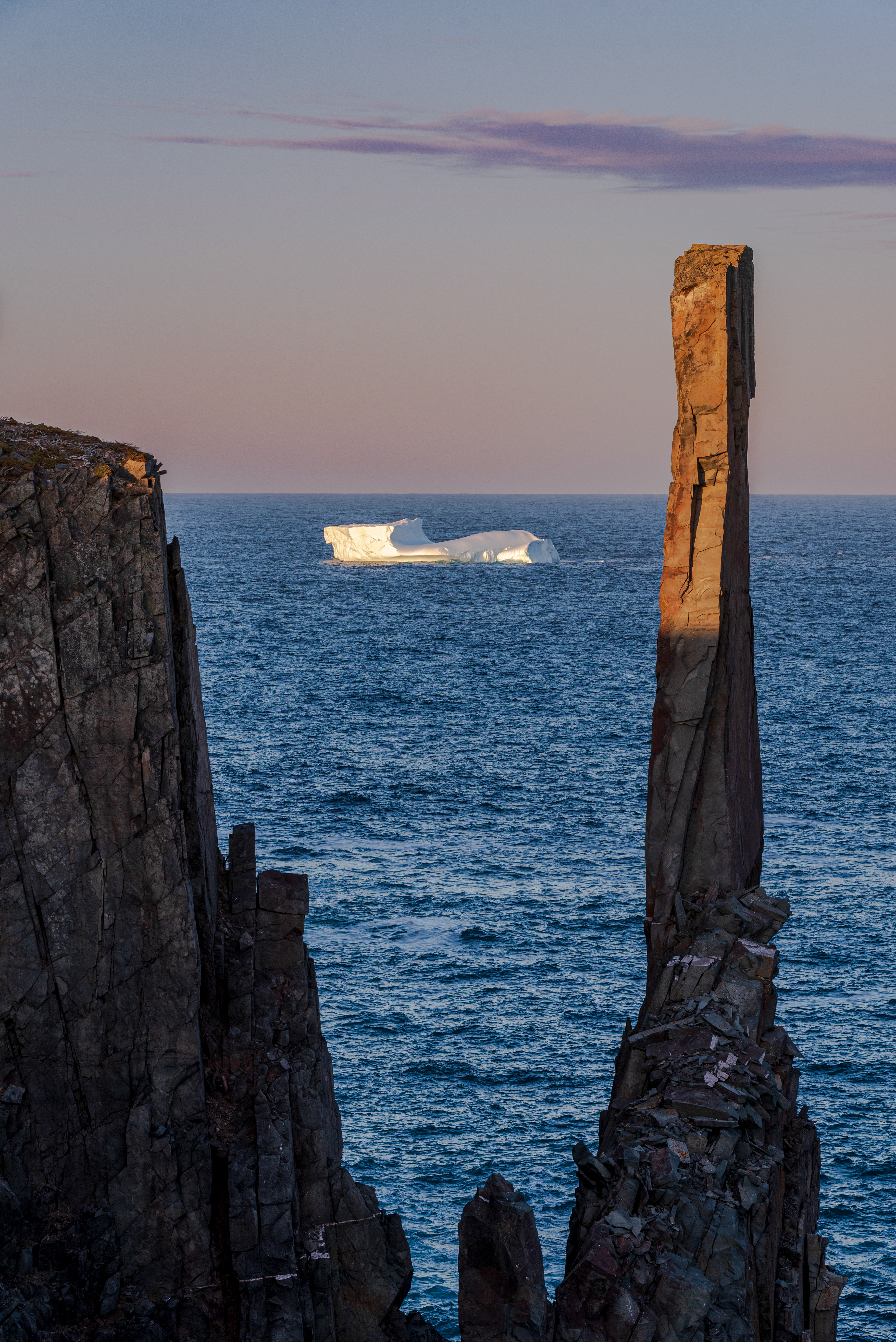 Iceberg, Bonavista