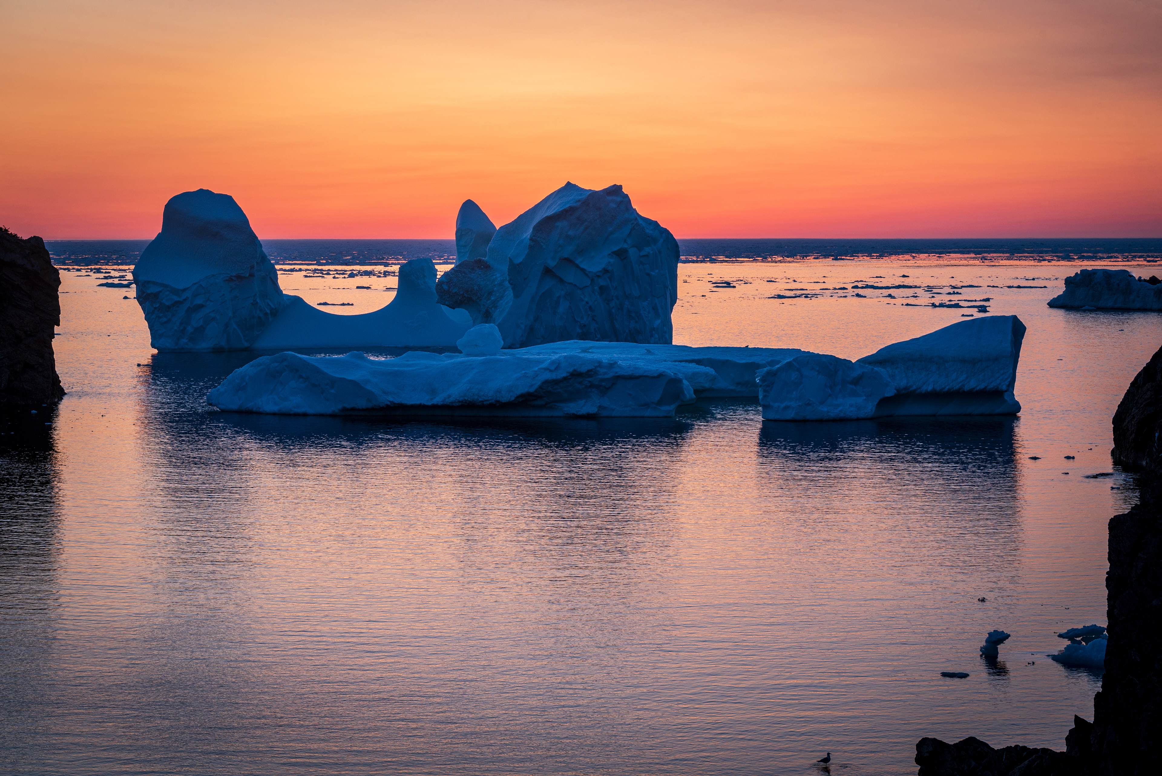 Twillingate Iceberg