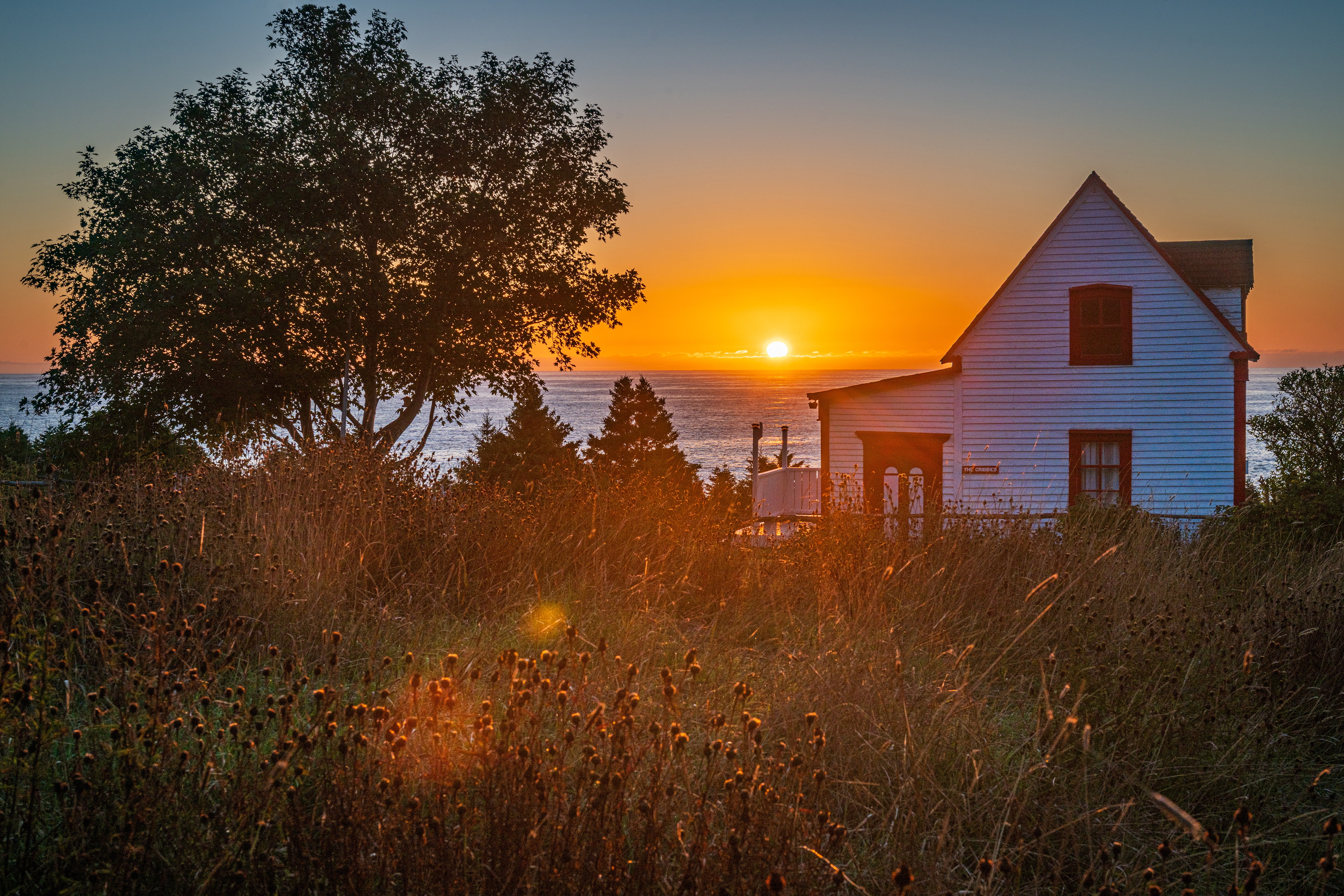 The Cribbies, Tors Cove