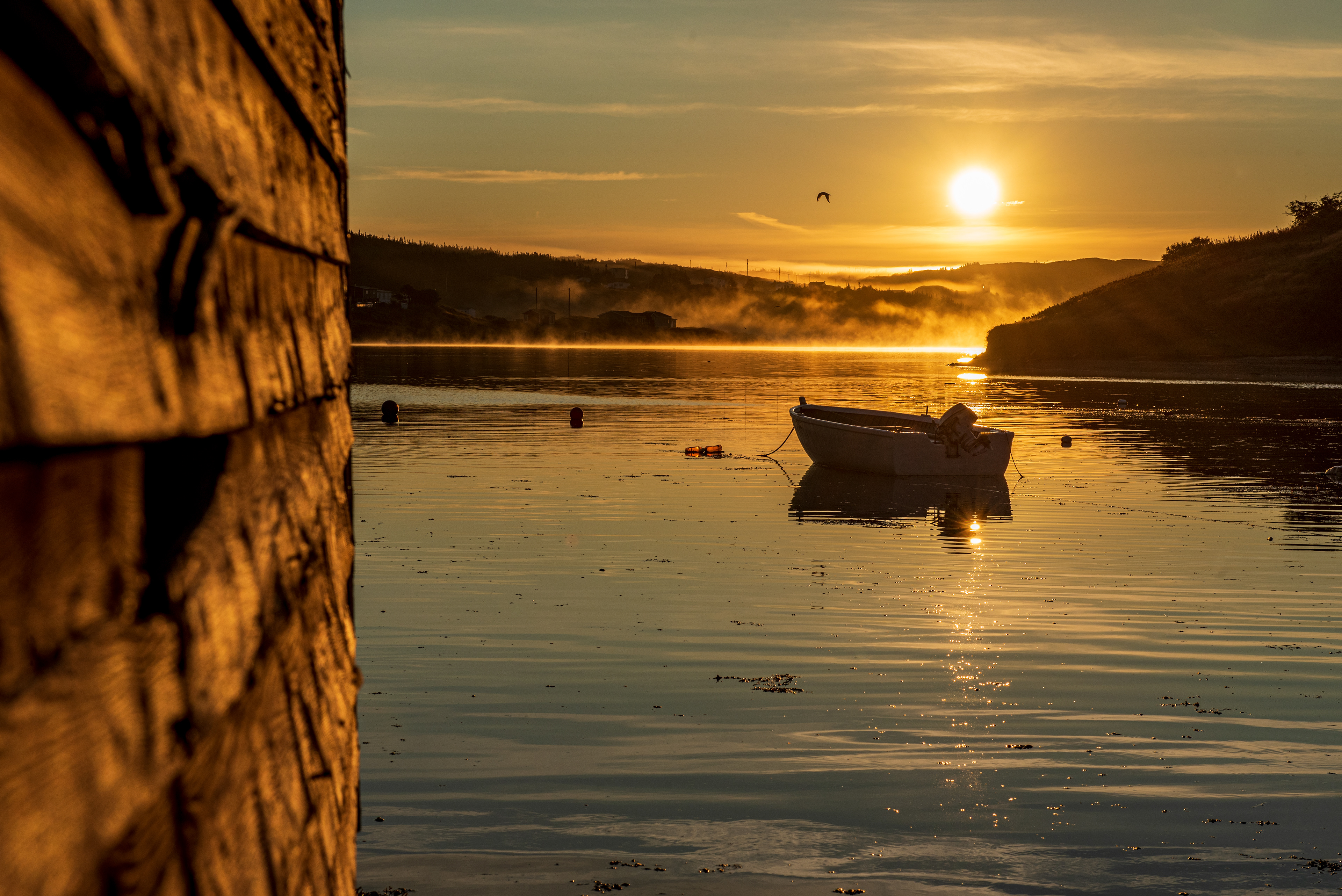 Champney's Arm Sunrise