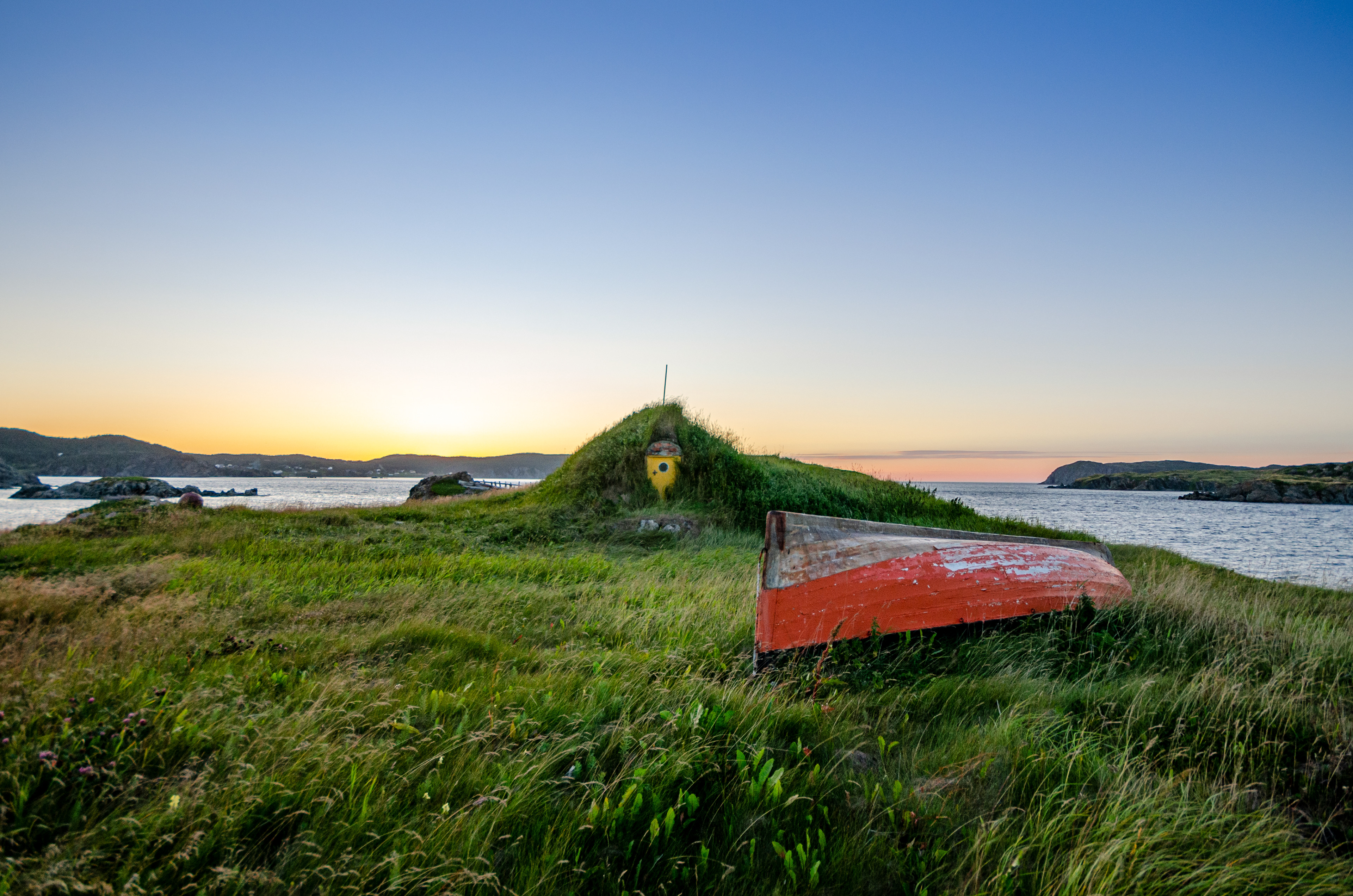 Root Cellar, Twillinagte
