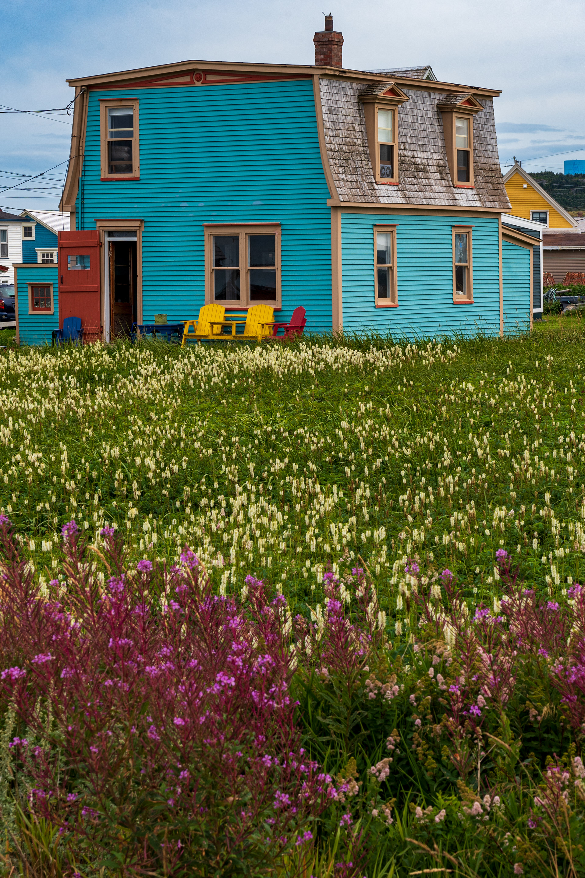 Bonavista