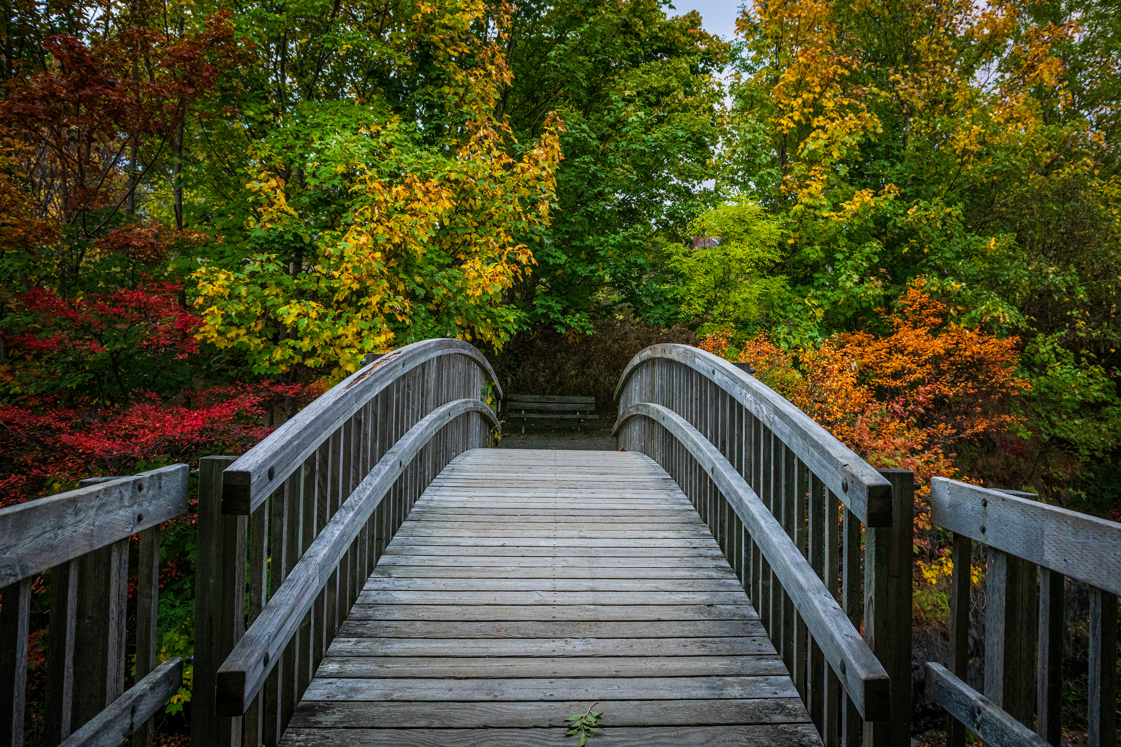 Rennie;s Mill River Trail