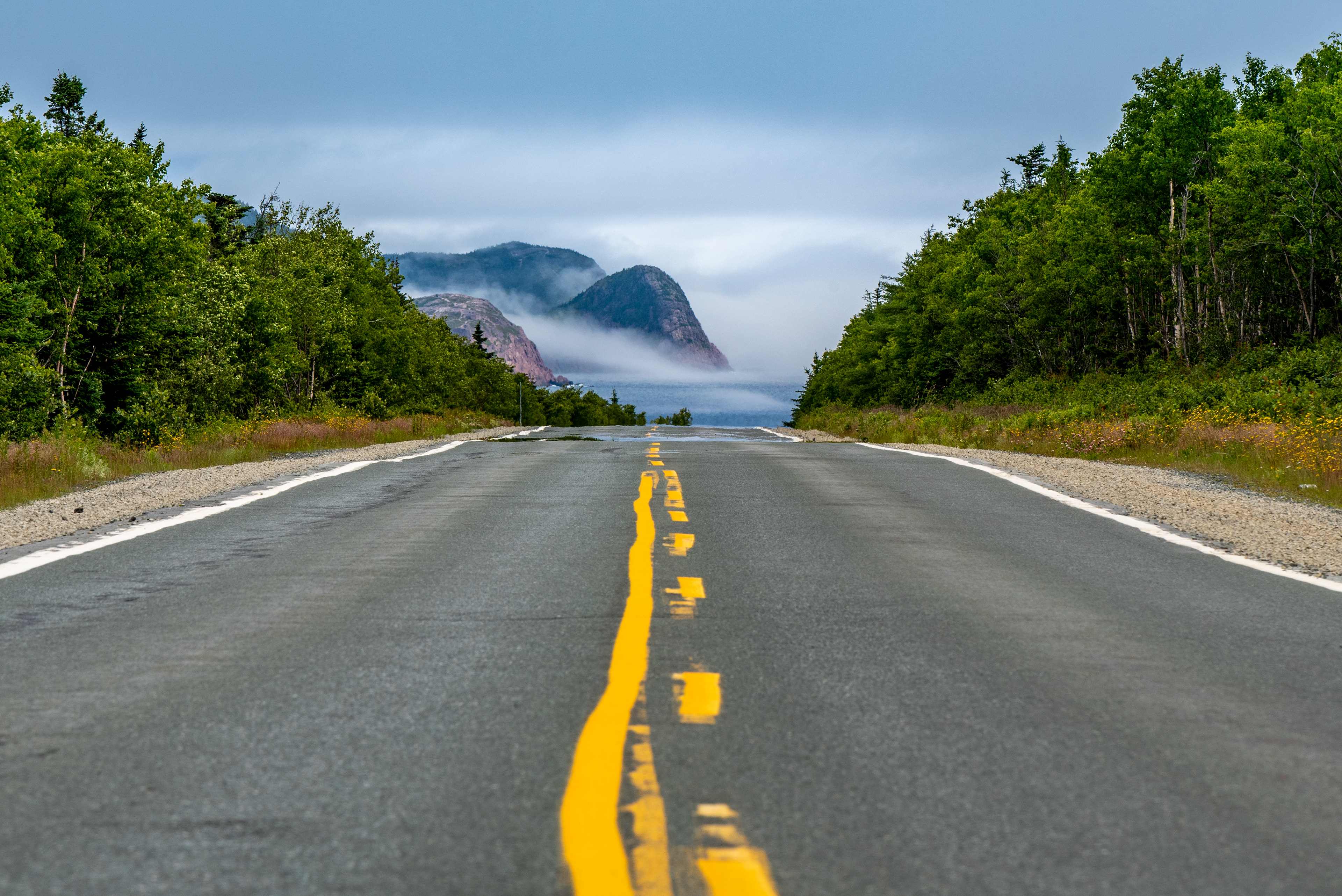 Drive From Cape Spear